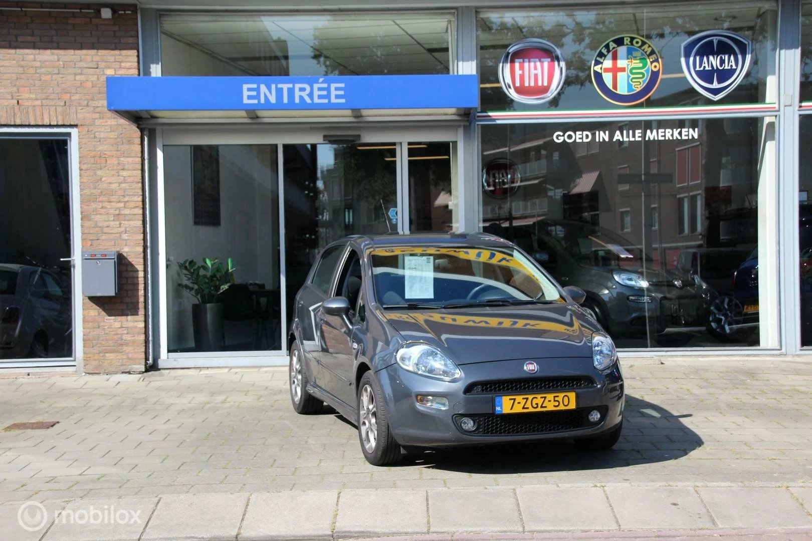 Hoofdafbeelding Fiat Punto