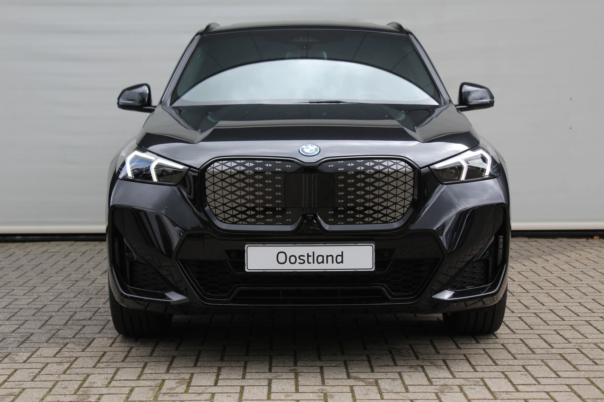 Hoofdafbeelding BMW iX1