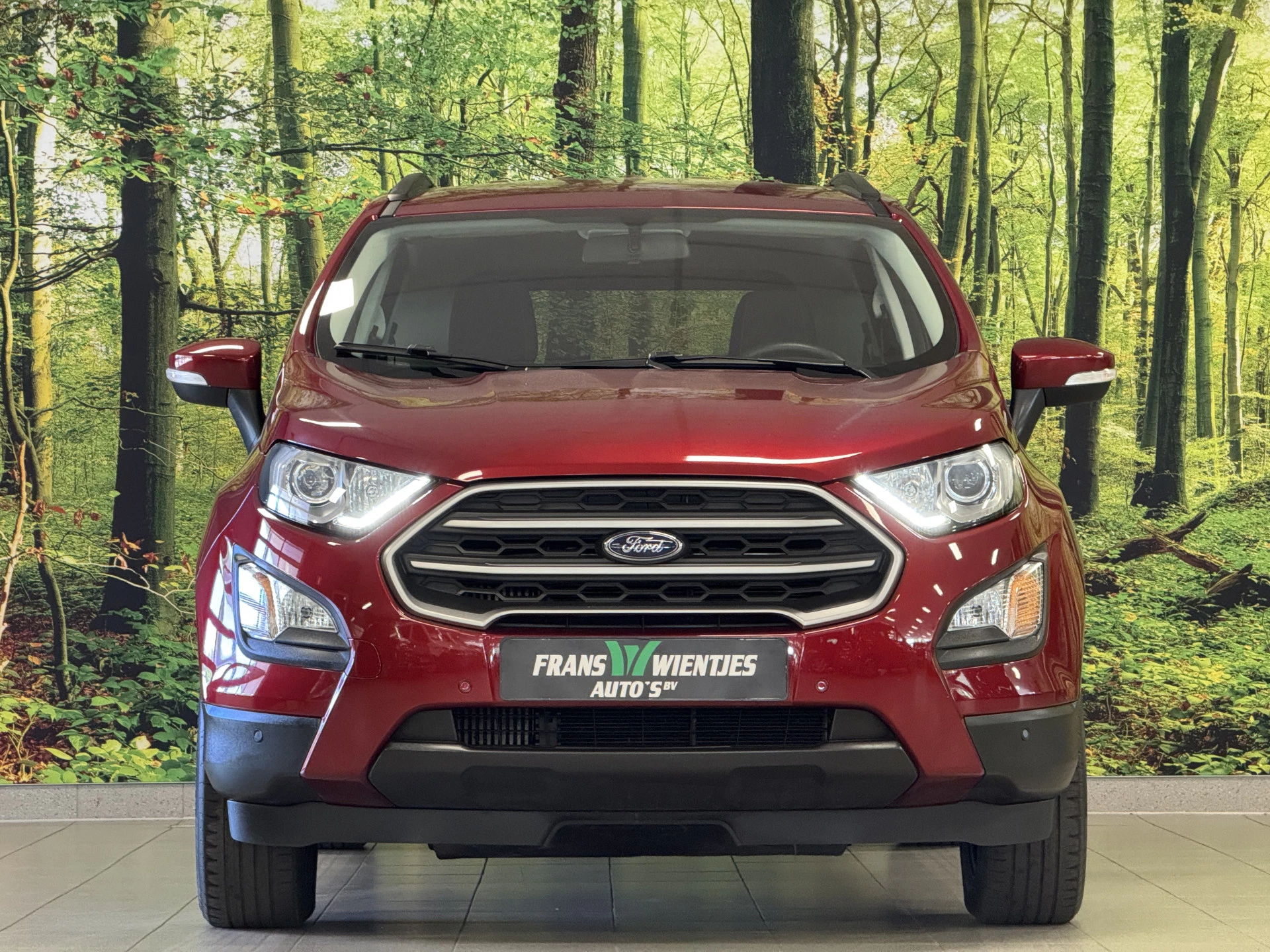 Hoofdafbeelding Ford EcoSport