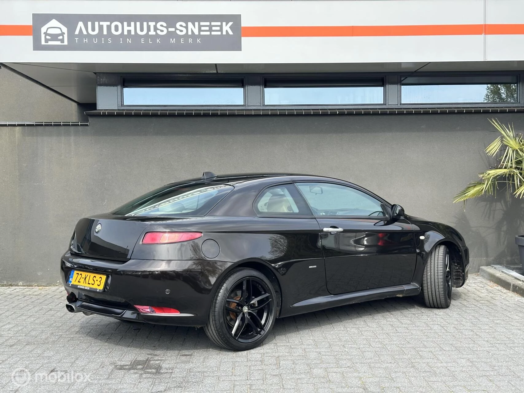Hoofdafbeelding Alfa Romeo GT