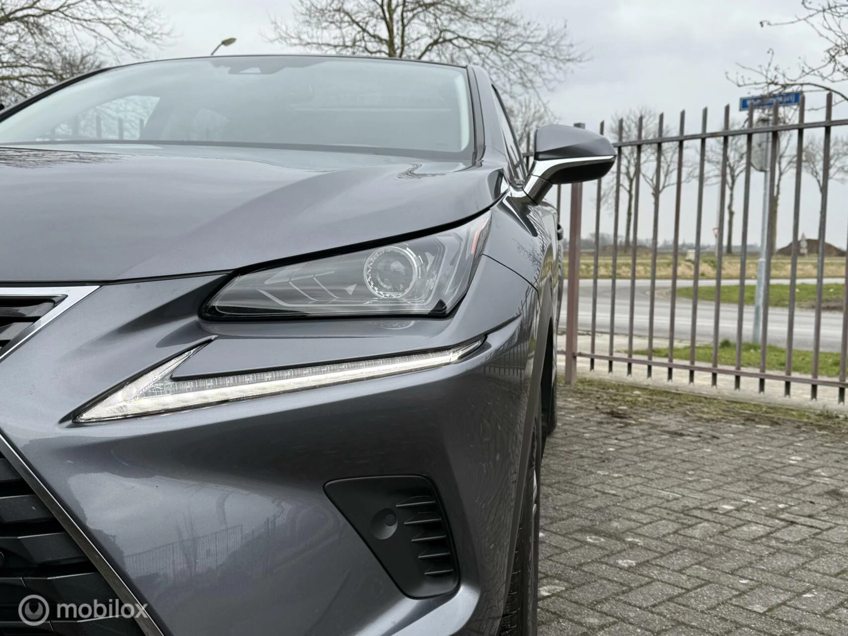 Hoofdafbeelding Lexus NX