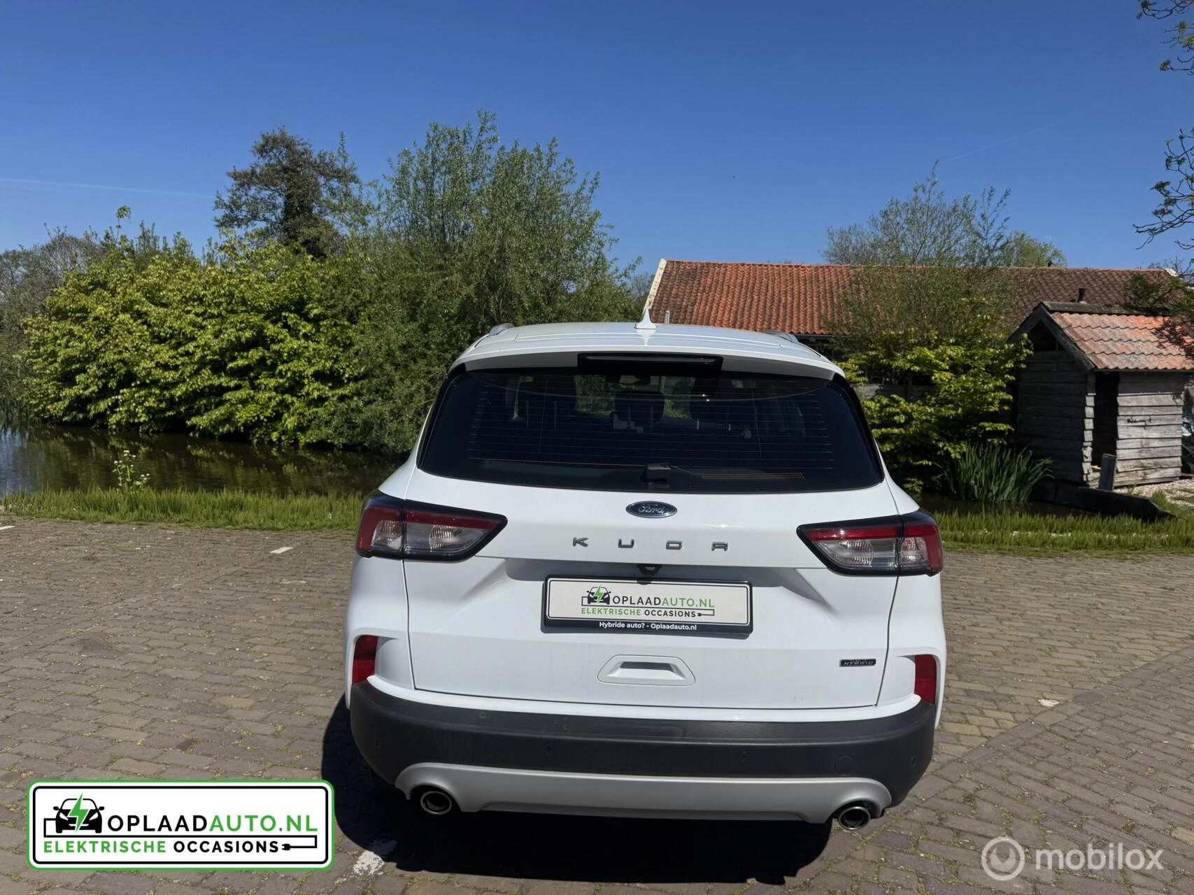 Hoofdafbeelding Ford Kuga