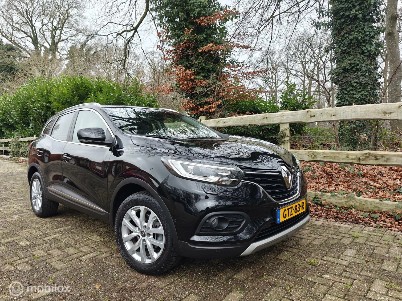 Hoofdafbeelding Renault Kadjar