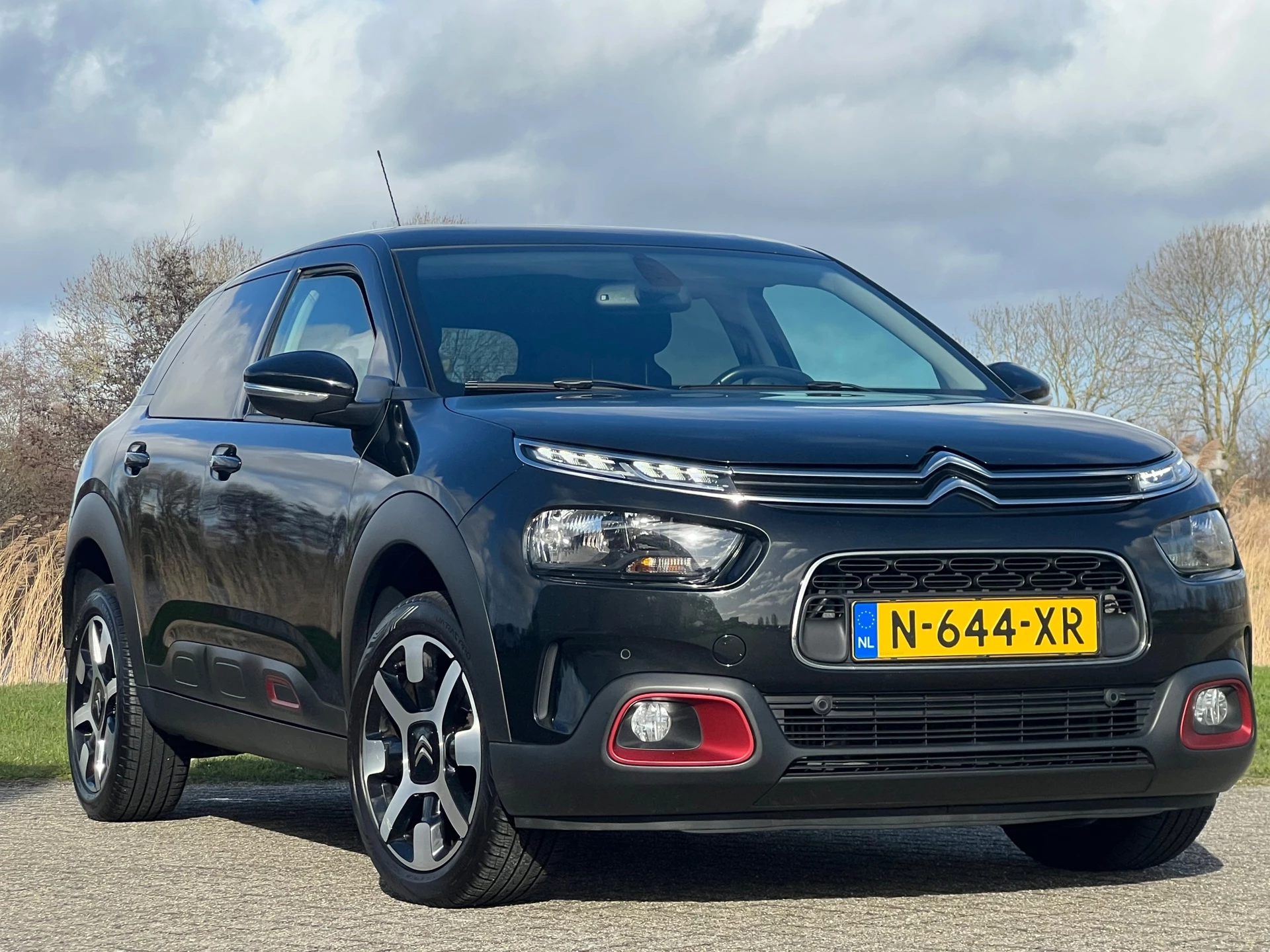 Hoofdafbeelding Citroën C4 Cactus