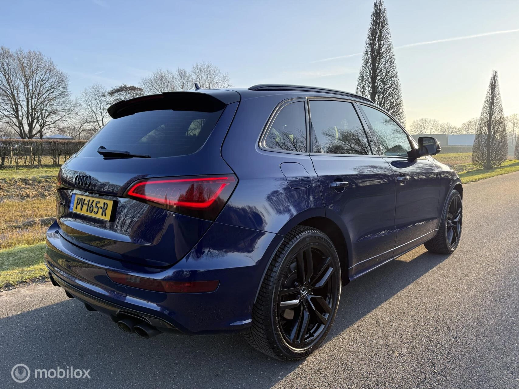 Hoofdafbeelding Audi SQ5