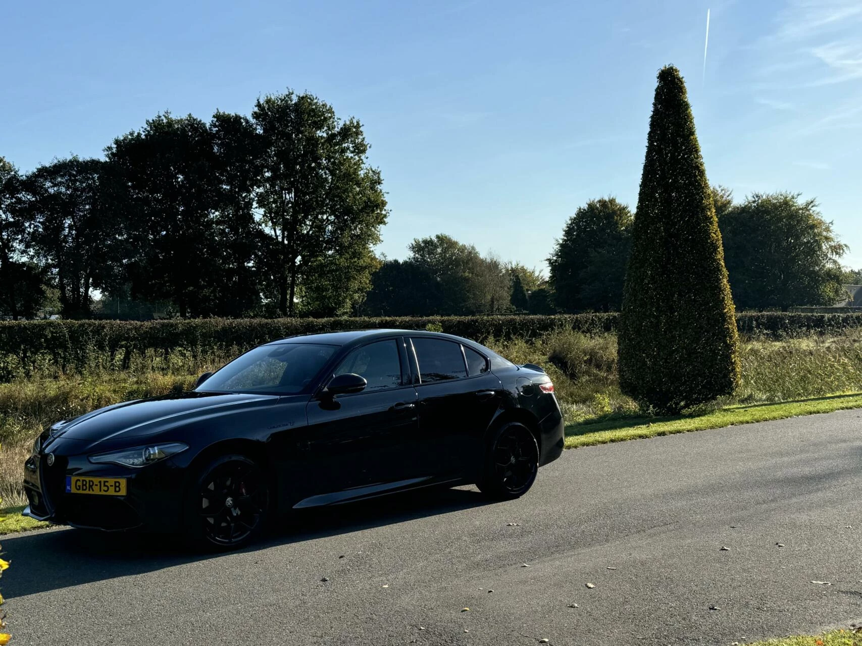 Hoofdafbeelding Alfa Romeo Giulia