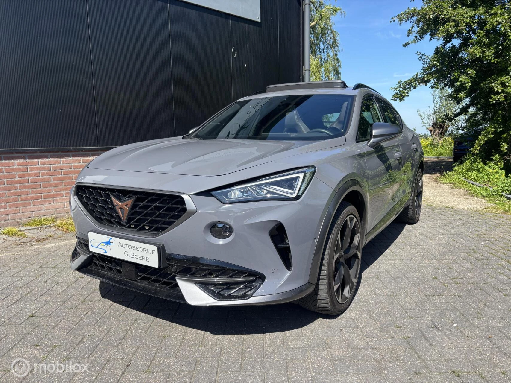 Hoofdafbeelding CUPRA Formentor