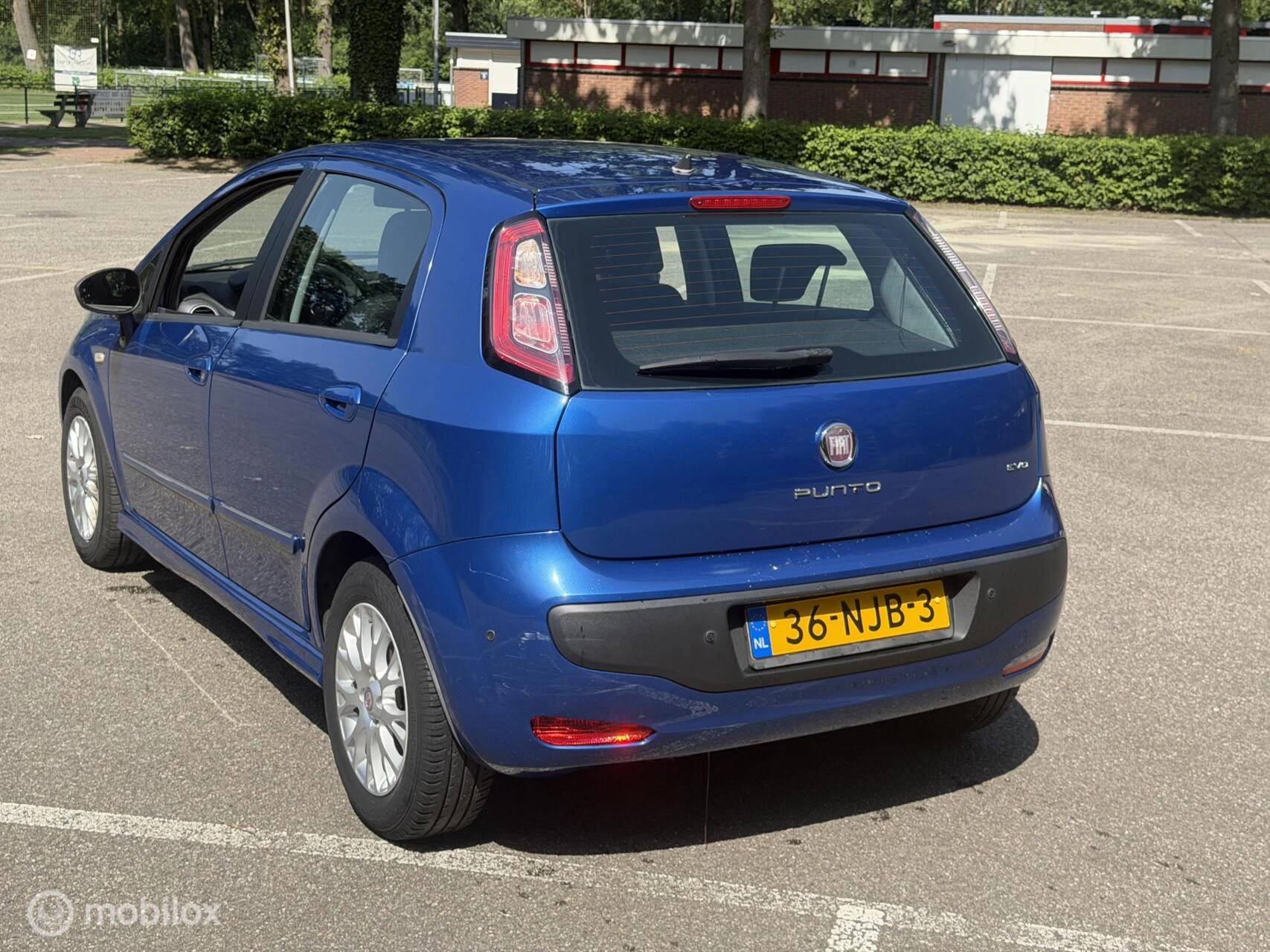 Hoofdafbeelding Fiat Punto