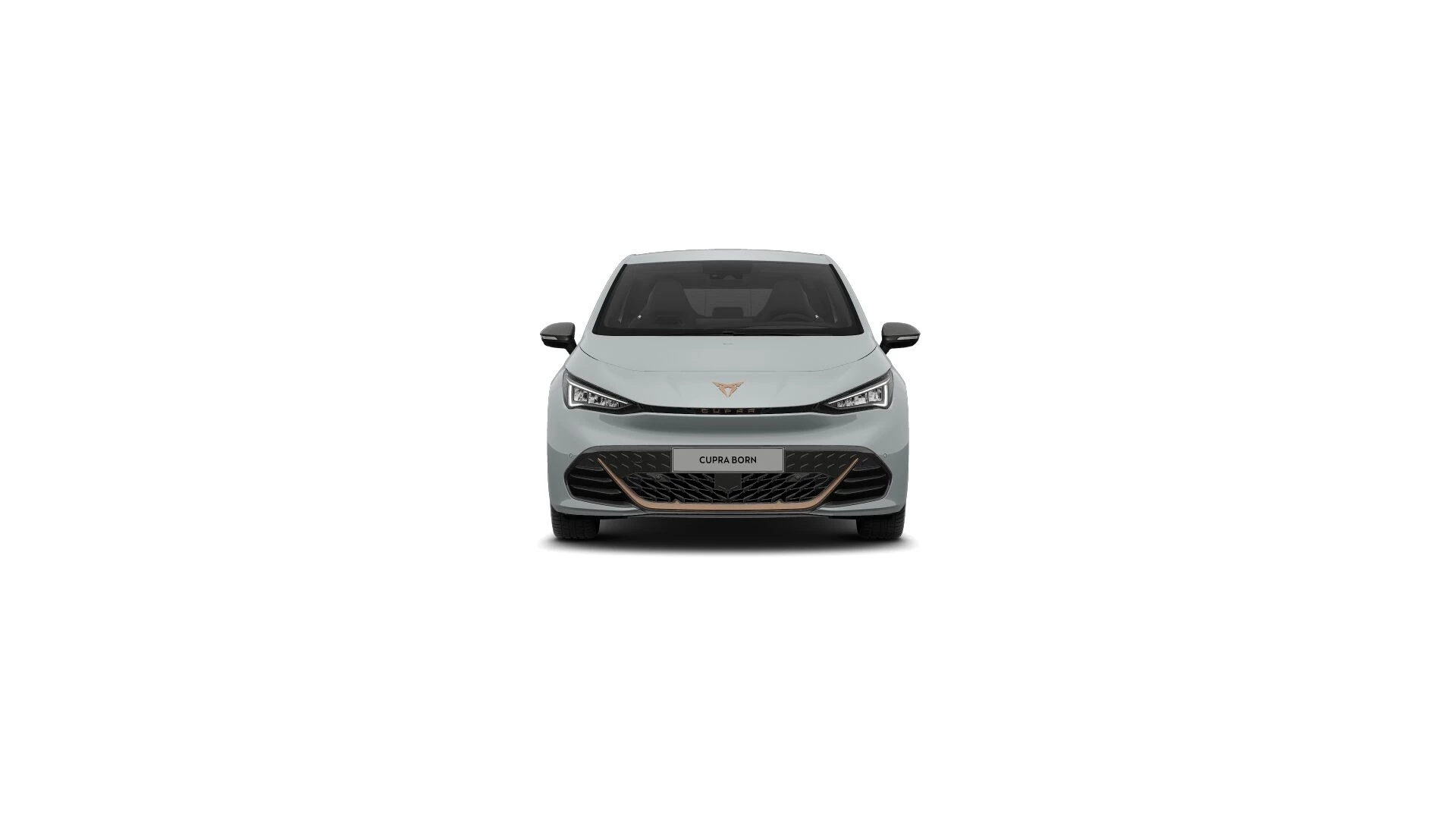 Hoofdafbeelding CUPRA Born