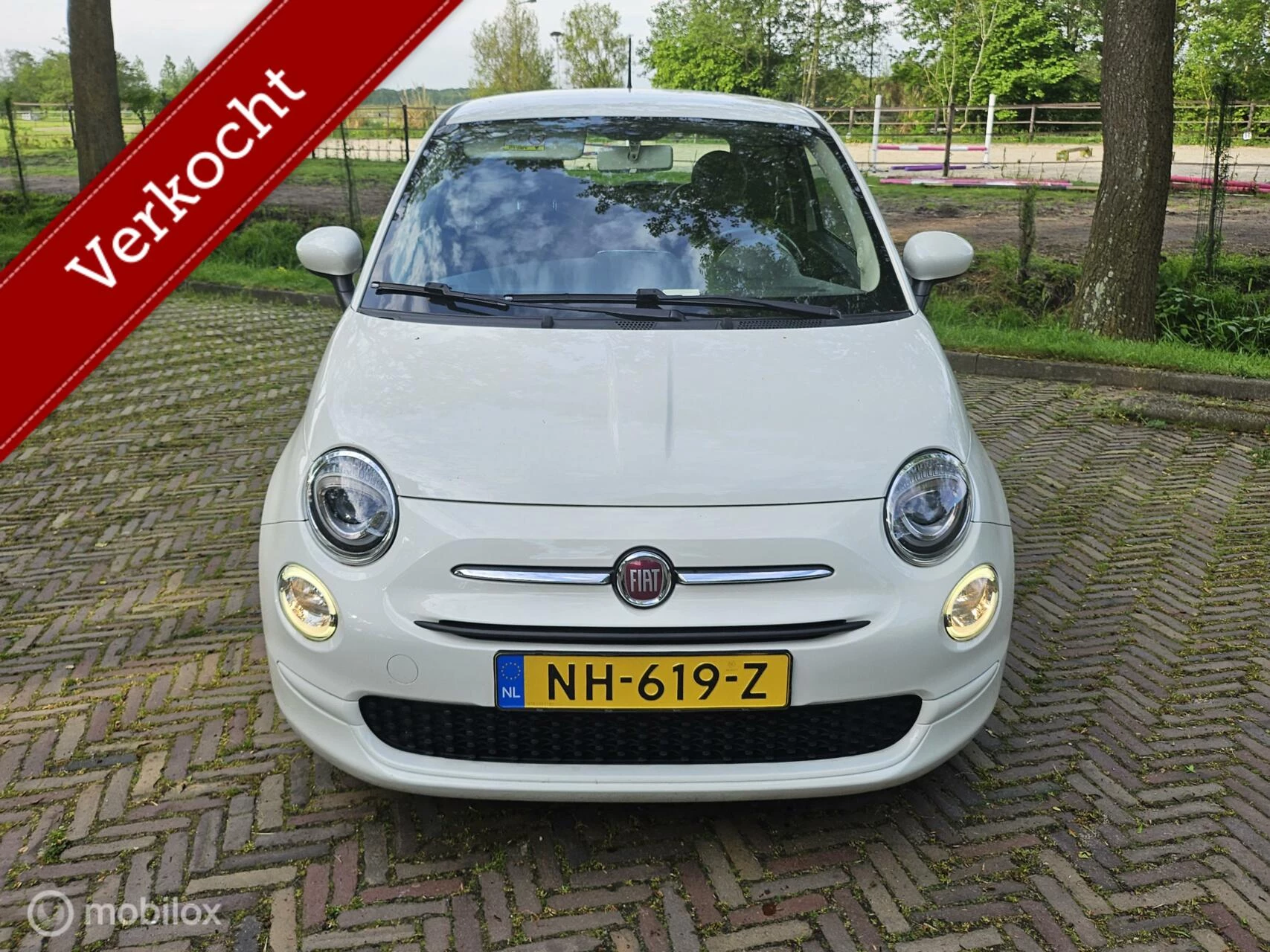 Hoofdafbeelding Fiat 500