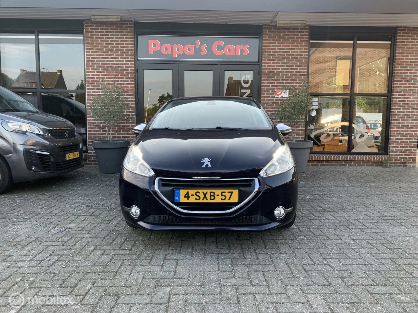 Hoofdafbeelding Peugeot 208