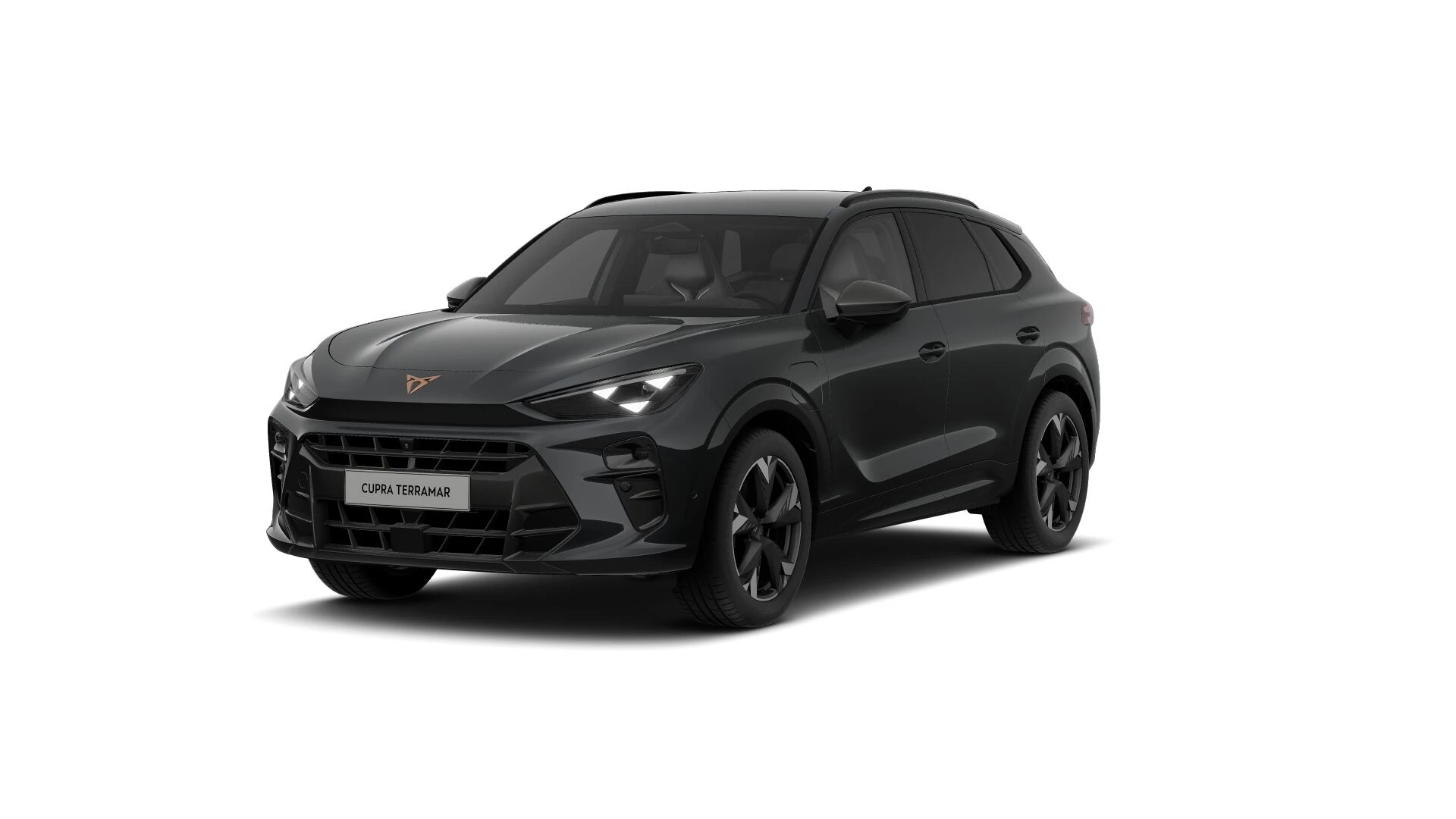 Hoofdafbeelding CUPRA Terramar