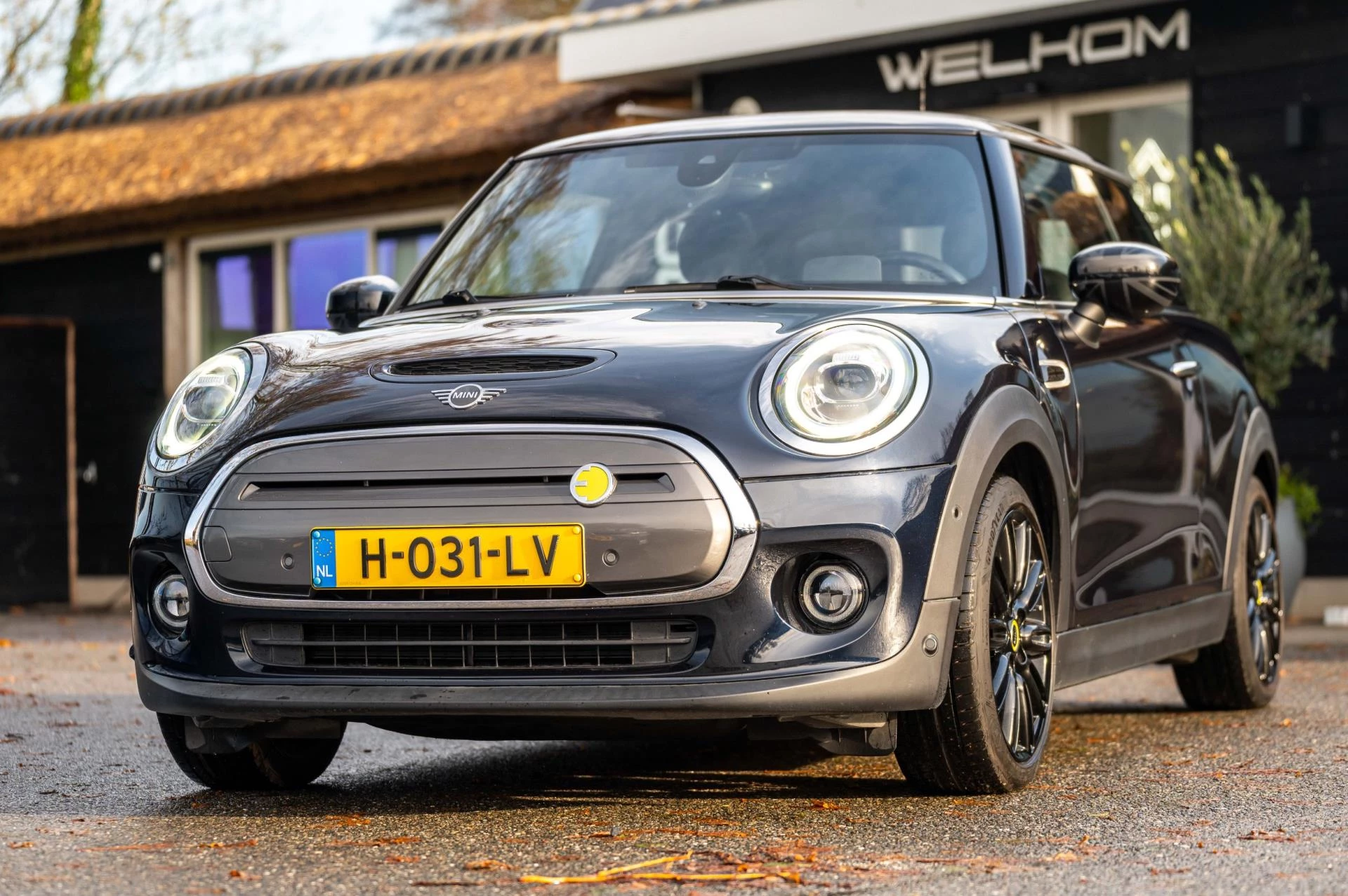 Hoofdafbeelding MINI Electric