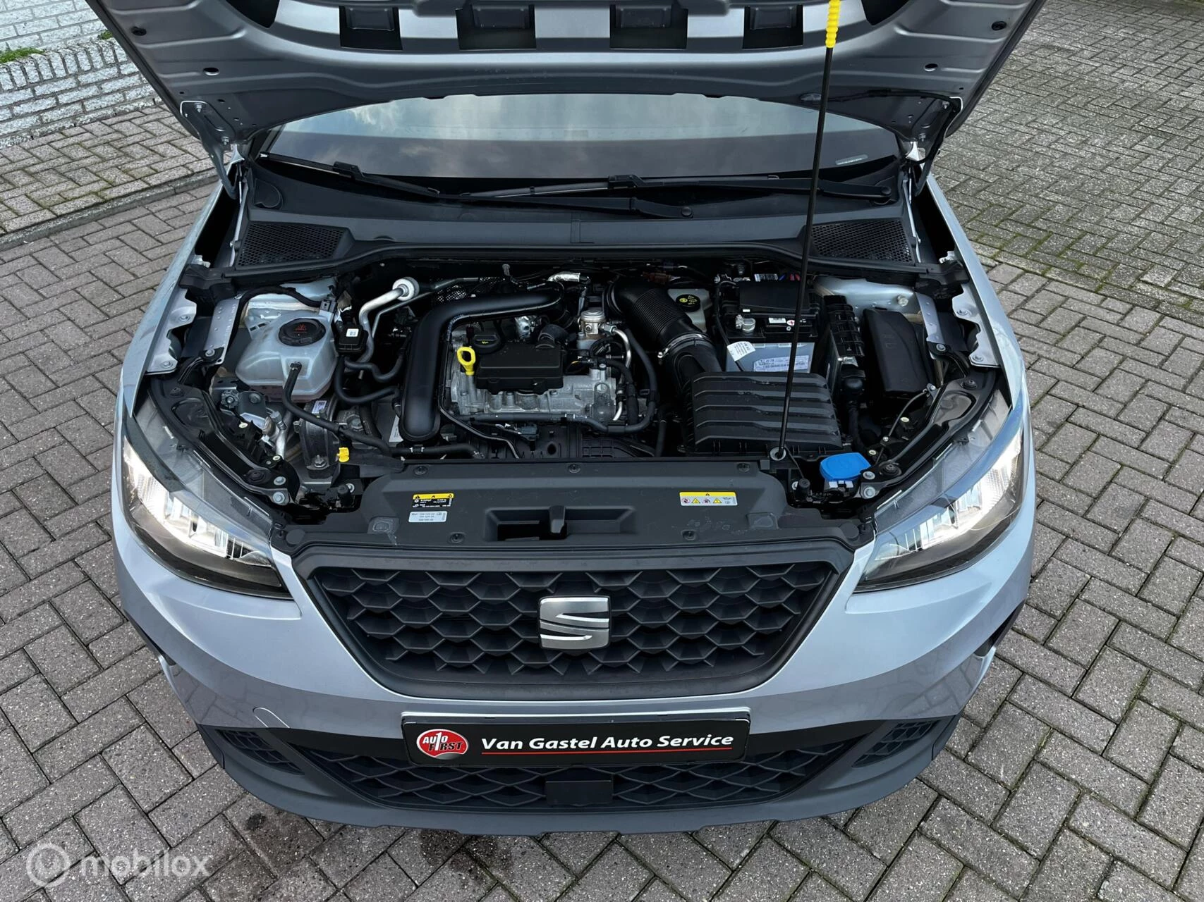 Hoofdafbeelding SEAT Arona