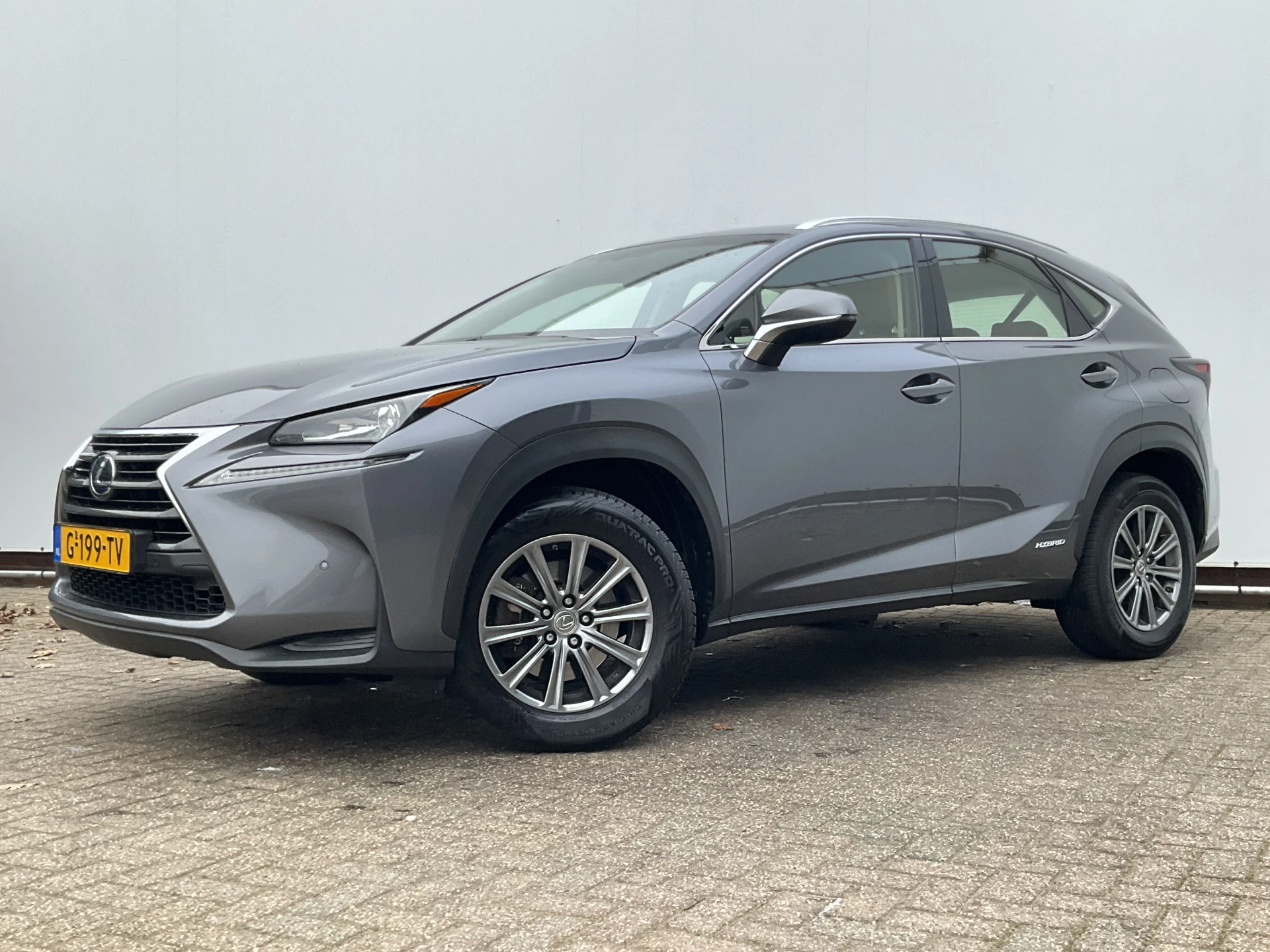 Hoofdafbeelding Lexus NX