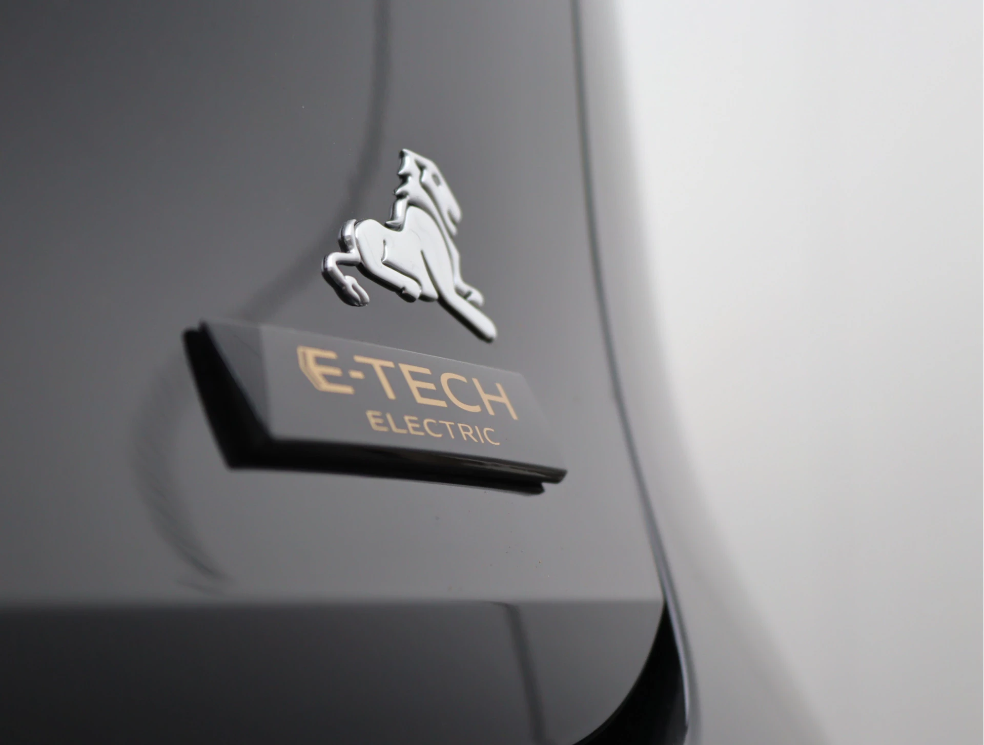 Hoofdafbeelding Renault Megane E-Tech