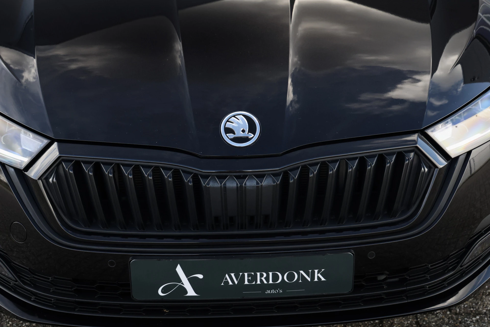 Hoofdafbeelding Škoda Octavia