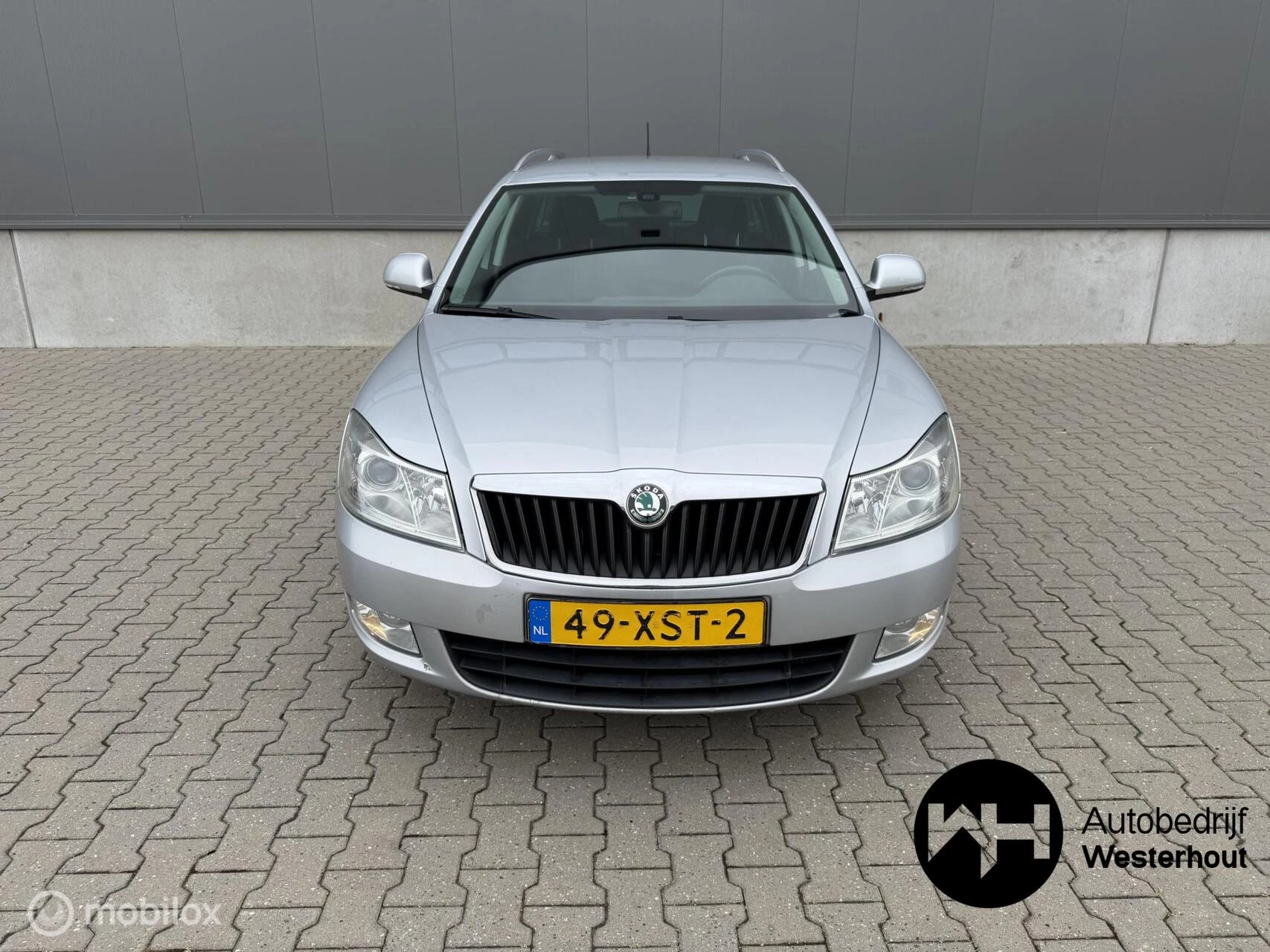 Hoofdafbeelding Škoda Octavia