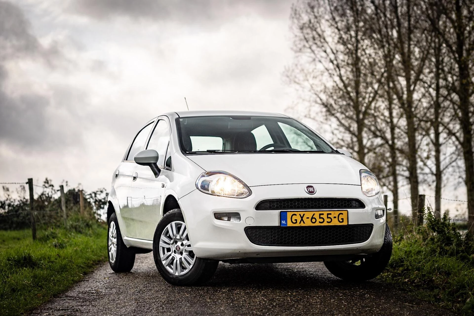 Hoofdafbeelding Fiat Punto