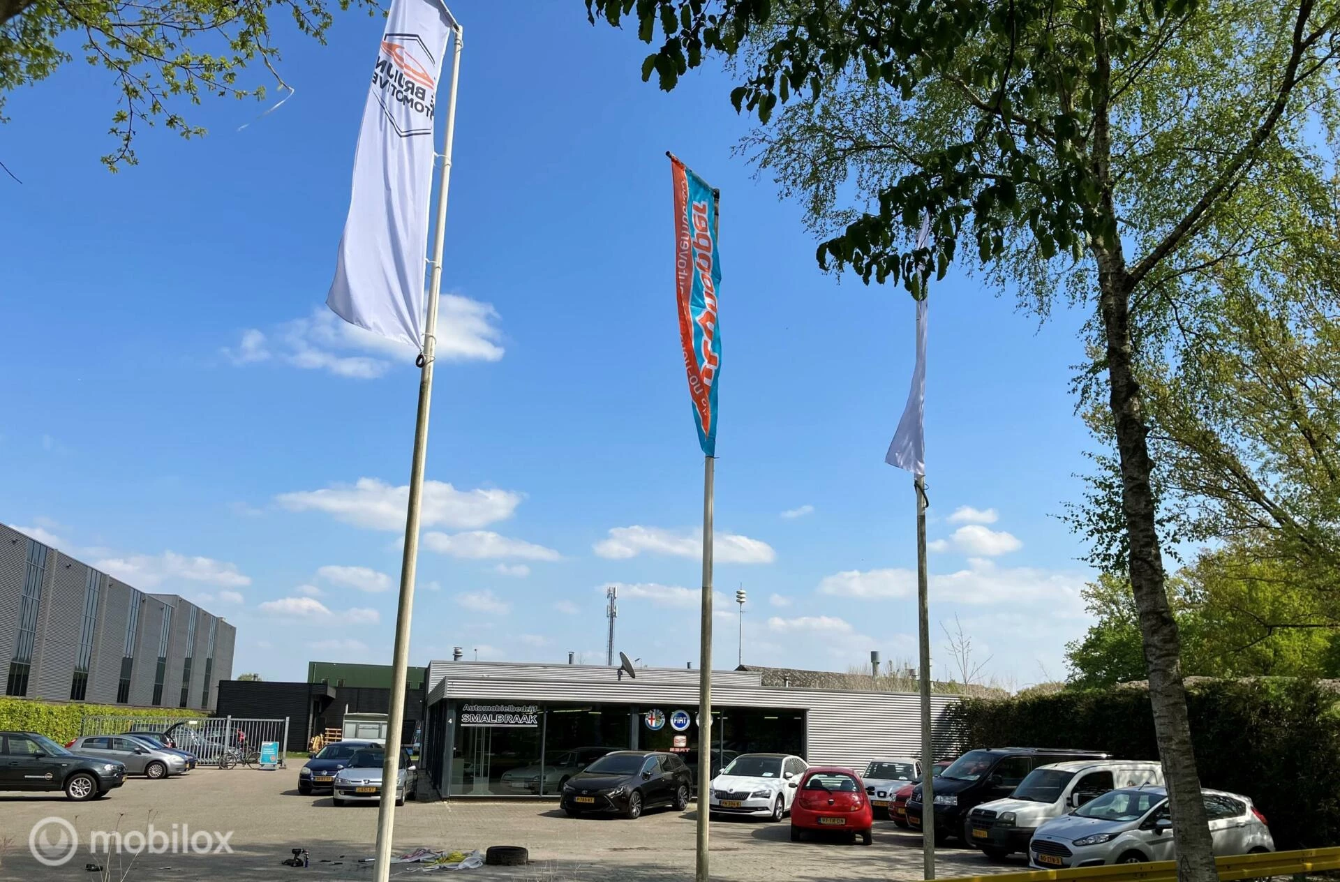 Hoofdafbeelding Fiat Panda