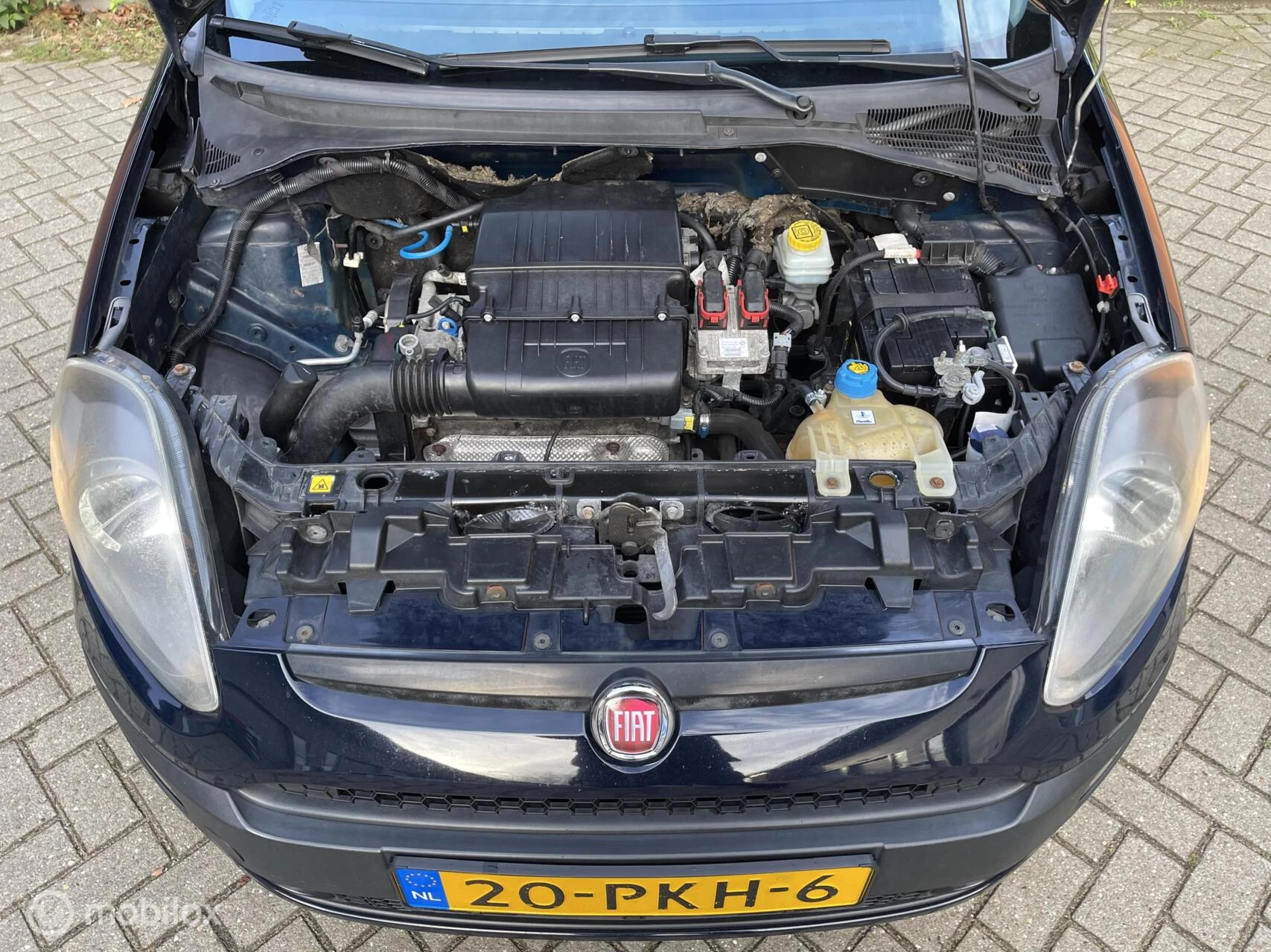 Hoofdafbeelding Fiat Punto