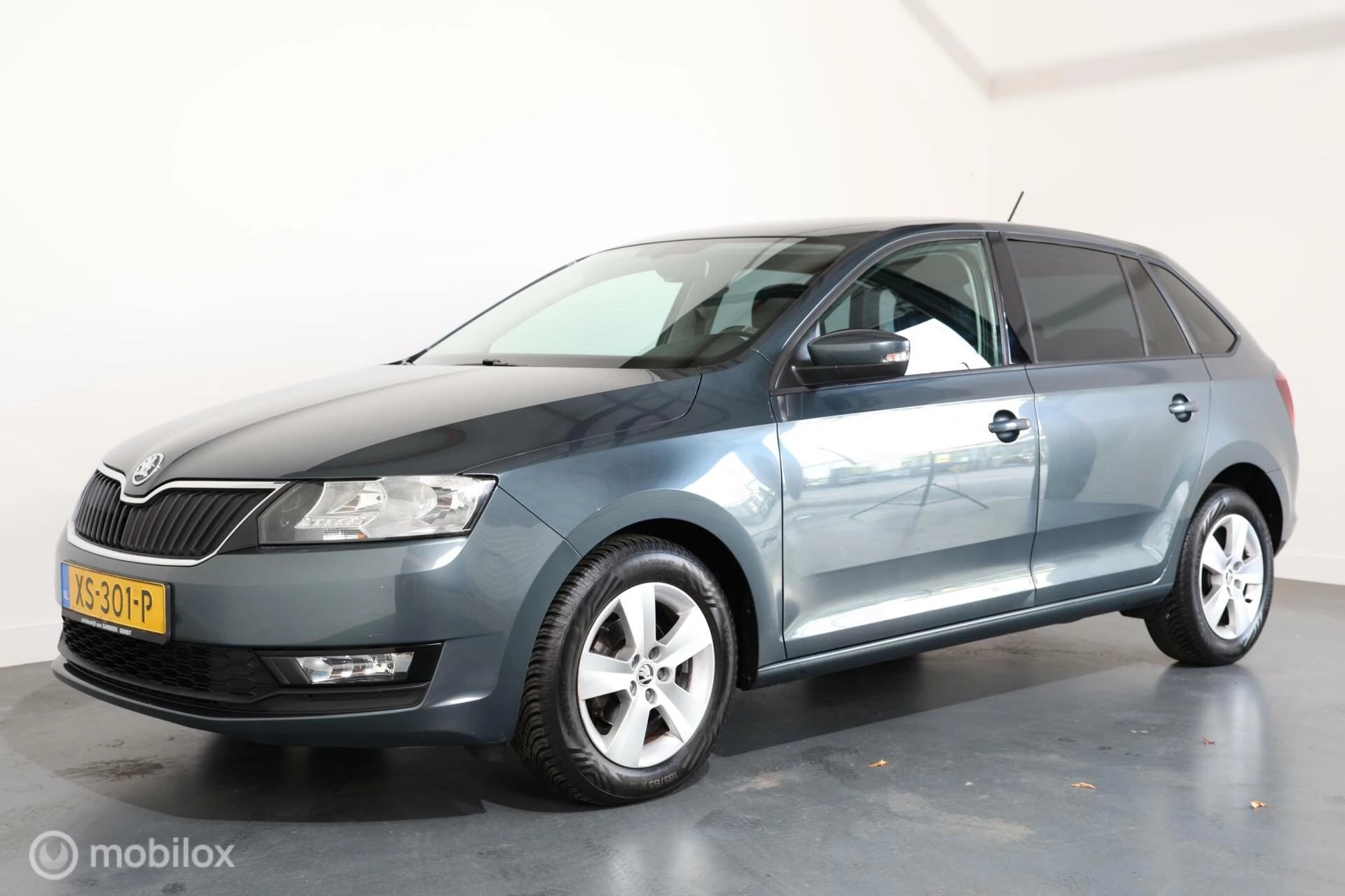 Hoofdafbeelding Škoda Rapid