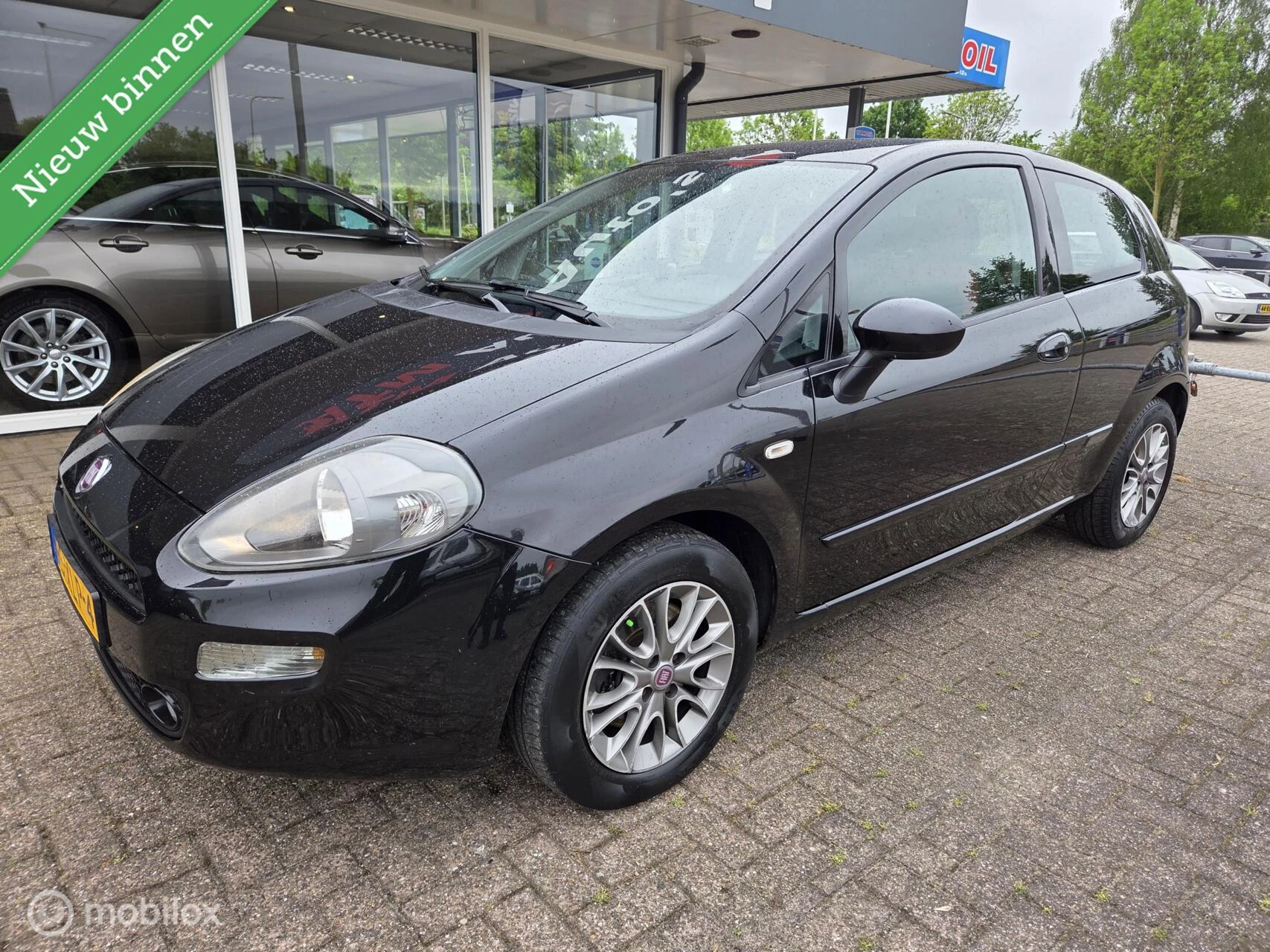 Hoofdafbeelding Fiat Punto