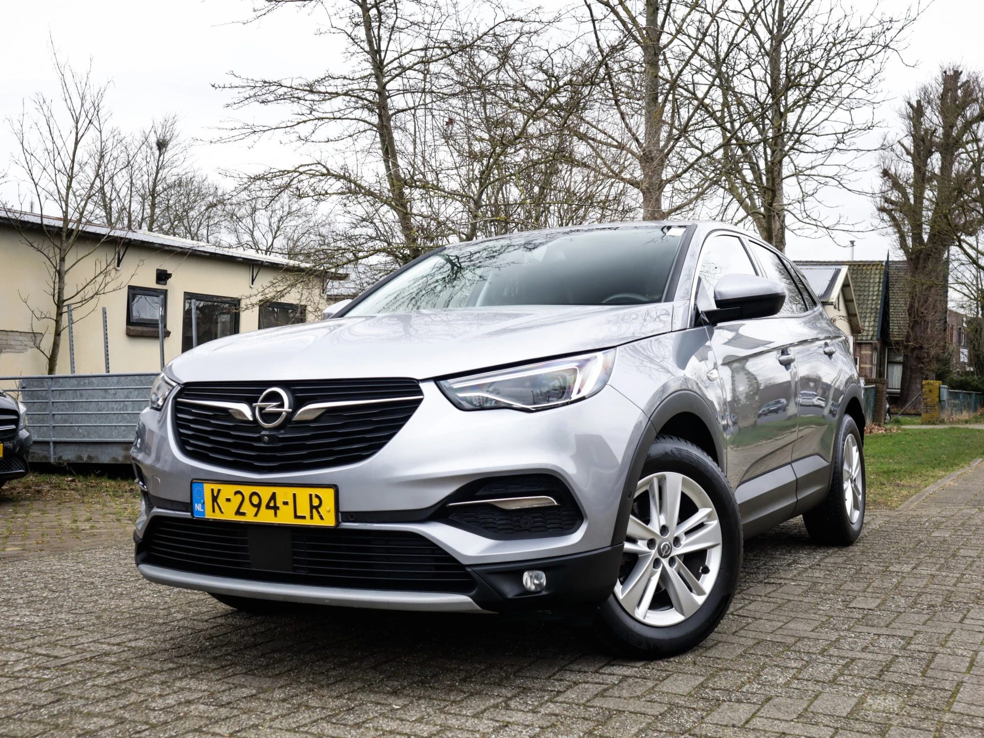 Hoofdafbeelding Opel Grandland X