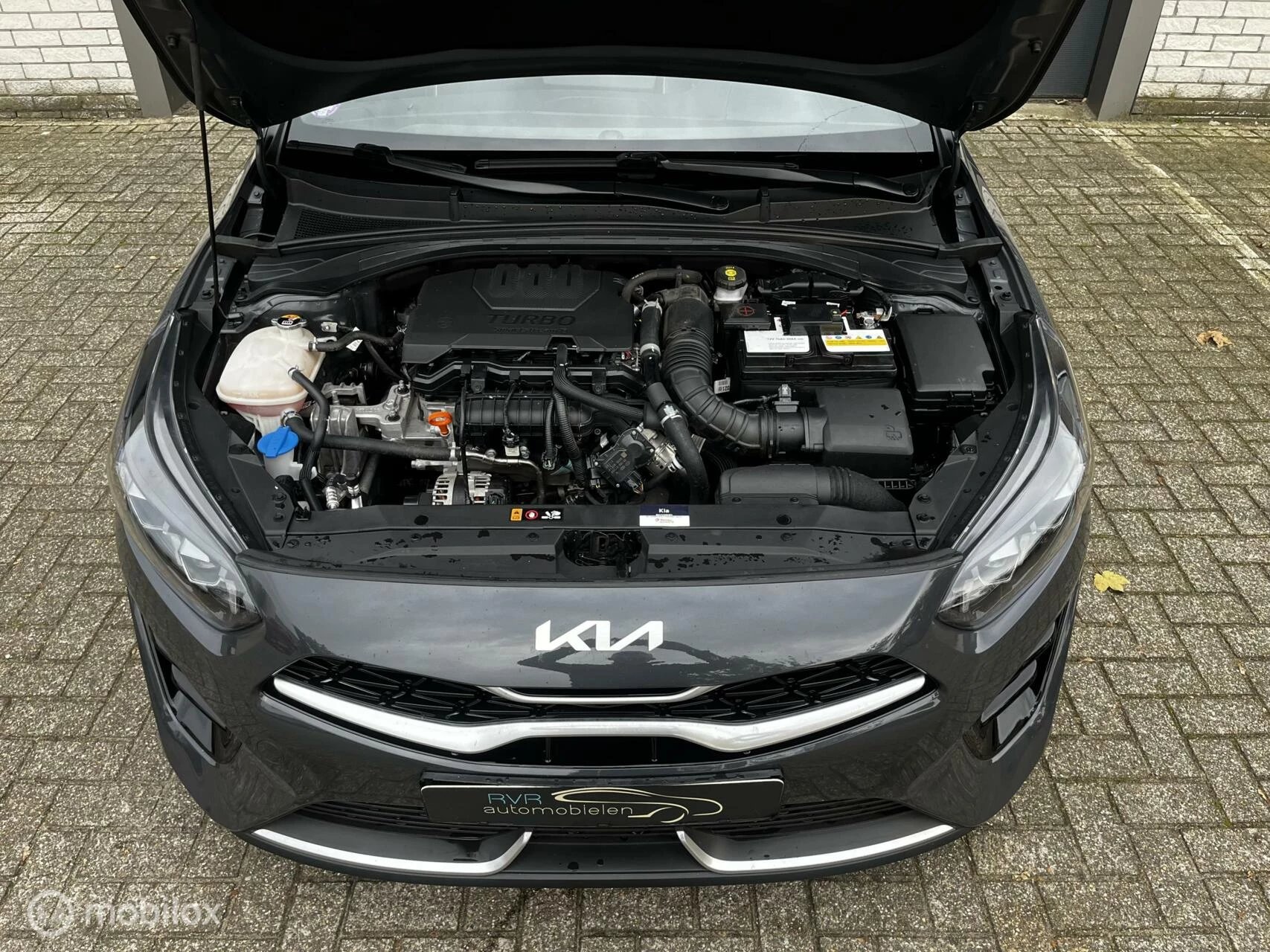 Hoofdafbeelding Kia ProCeed