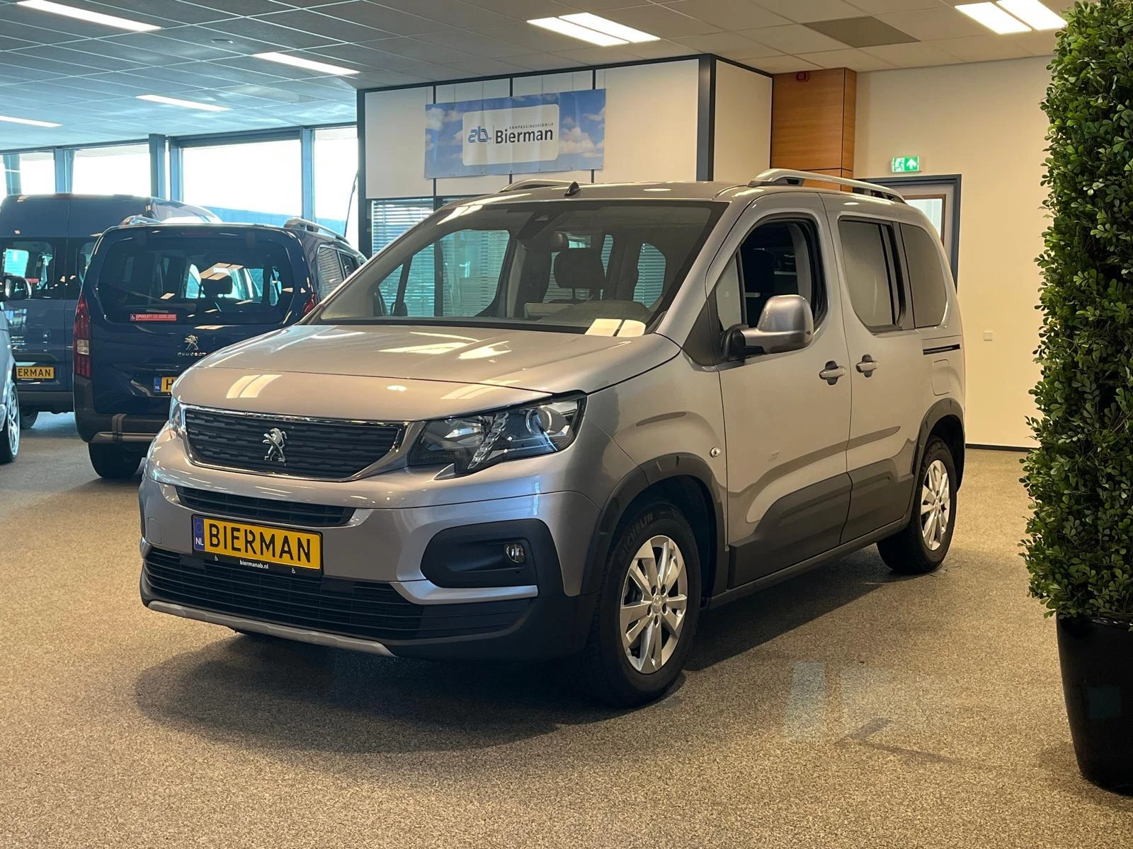 Hoofdafbeelding Peugeot Rifter