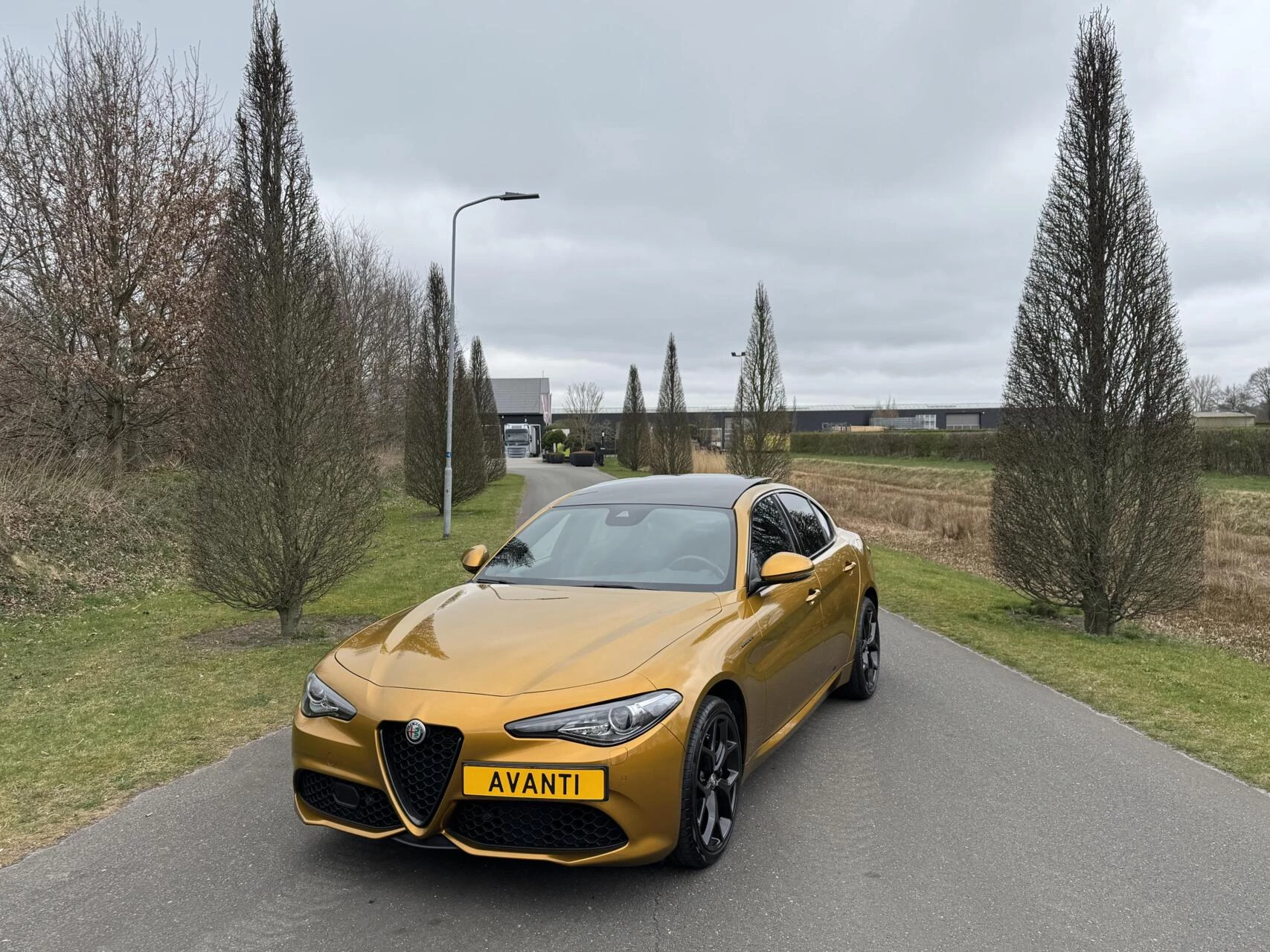 Hoofdafbeelding Alfa Romeo Giulia