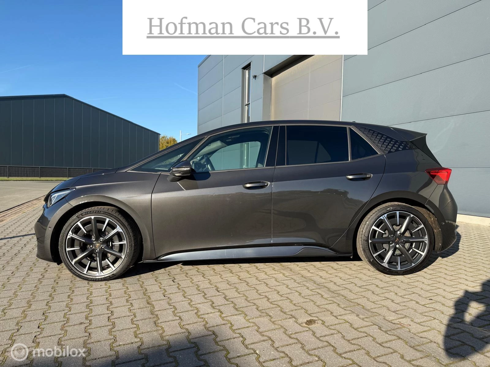 Hoofdafbeelding CUPRA Born