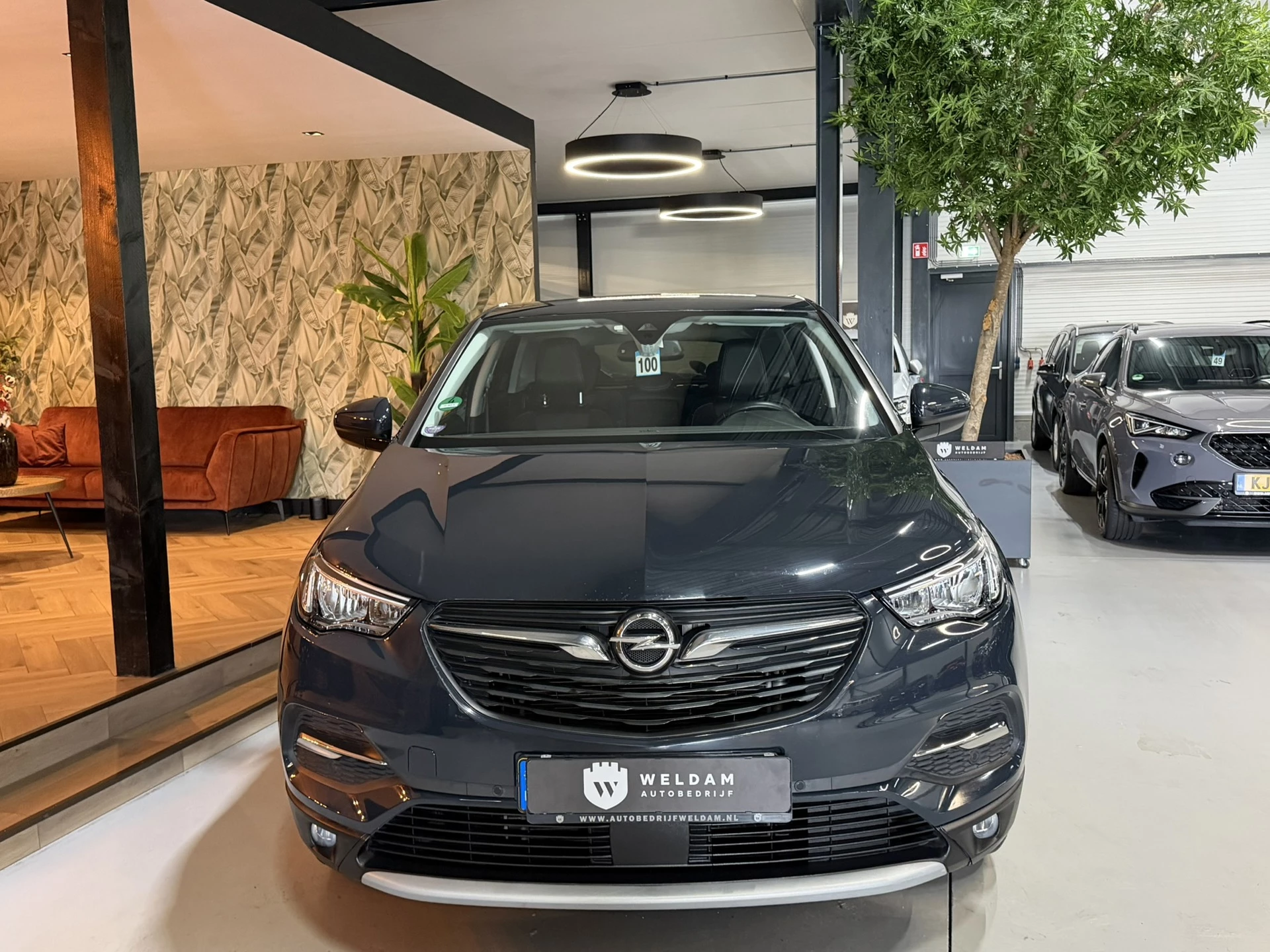 Hoofdafbeelding Opel Grandland X