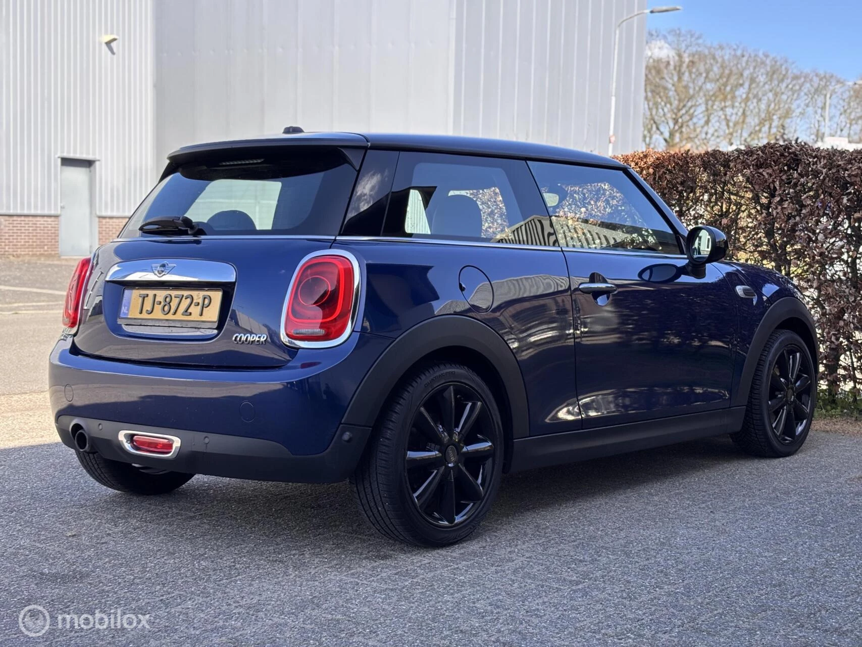 Hoofdafbeelding MINI Cooper