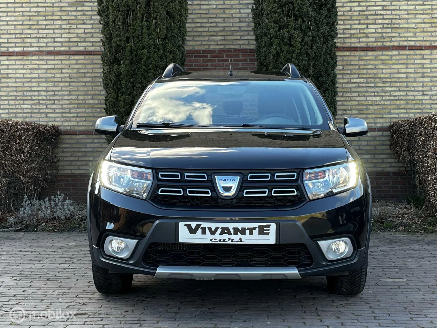 Hoofdafbeelding Dacia Sandero Stepway