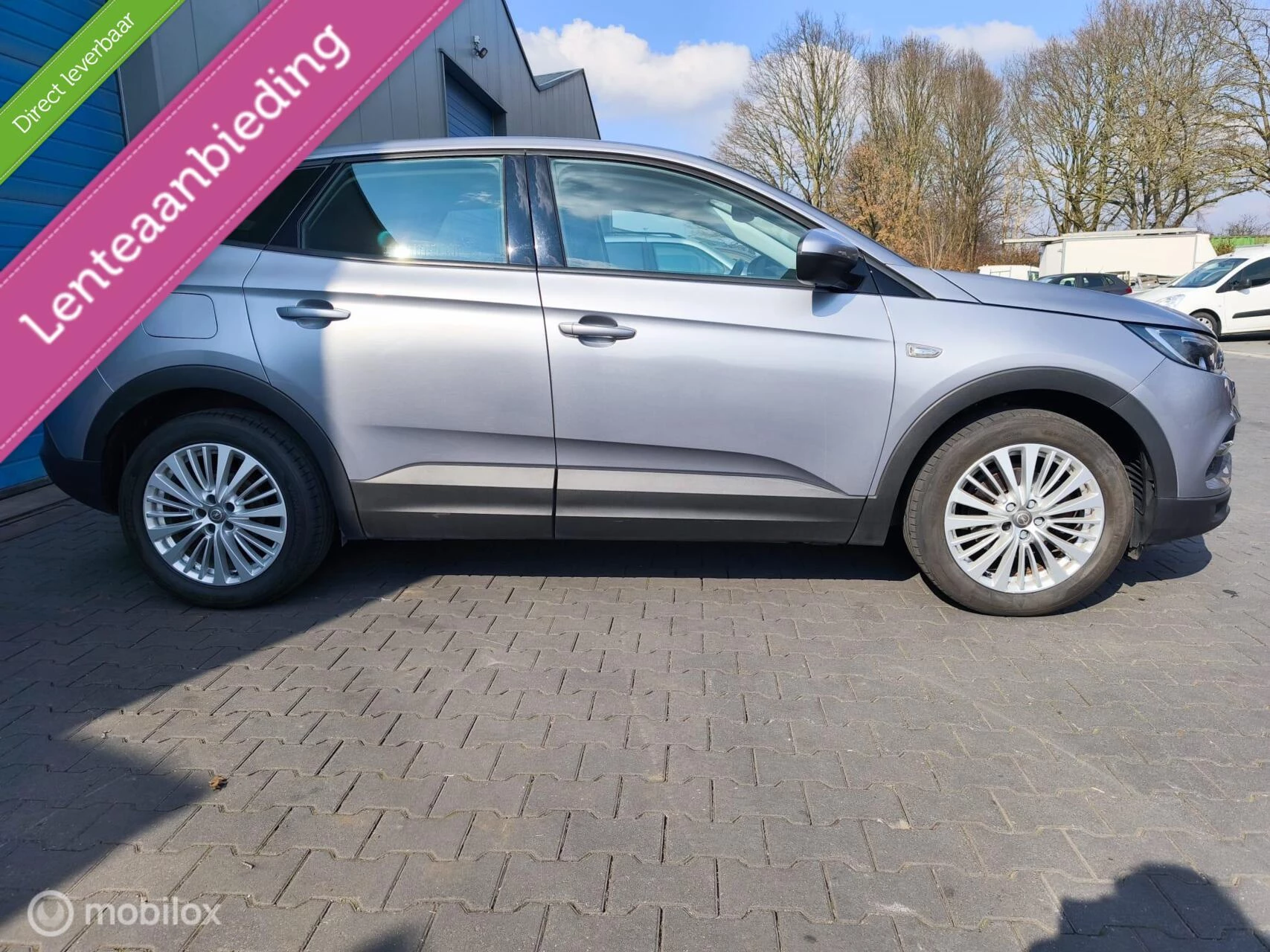 Hoofdafbeelding Opel Grandland X