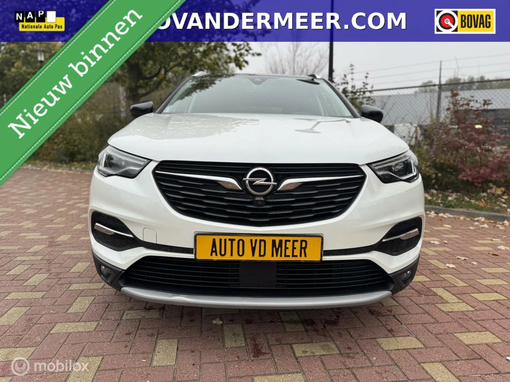 Hoofdafbeelding Opel Grandland X