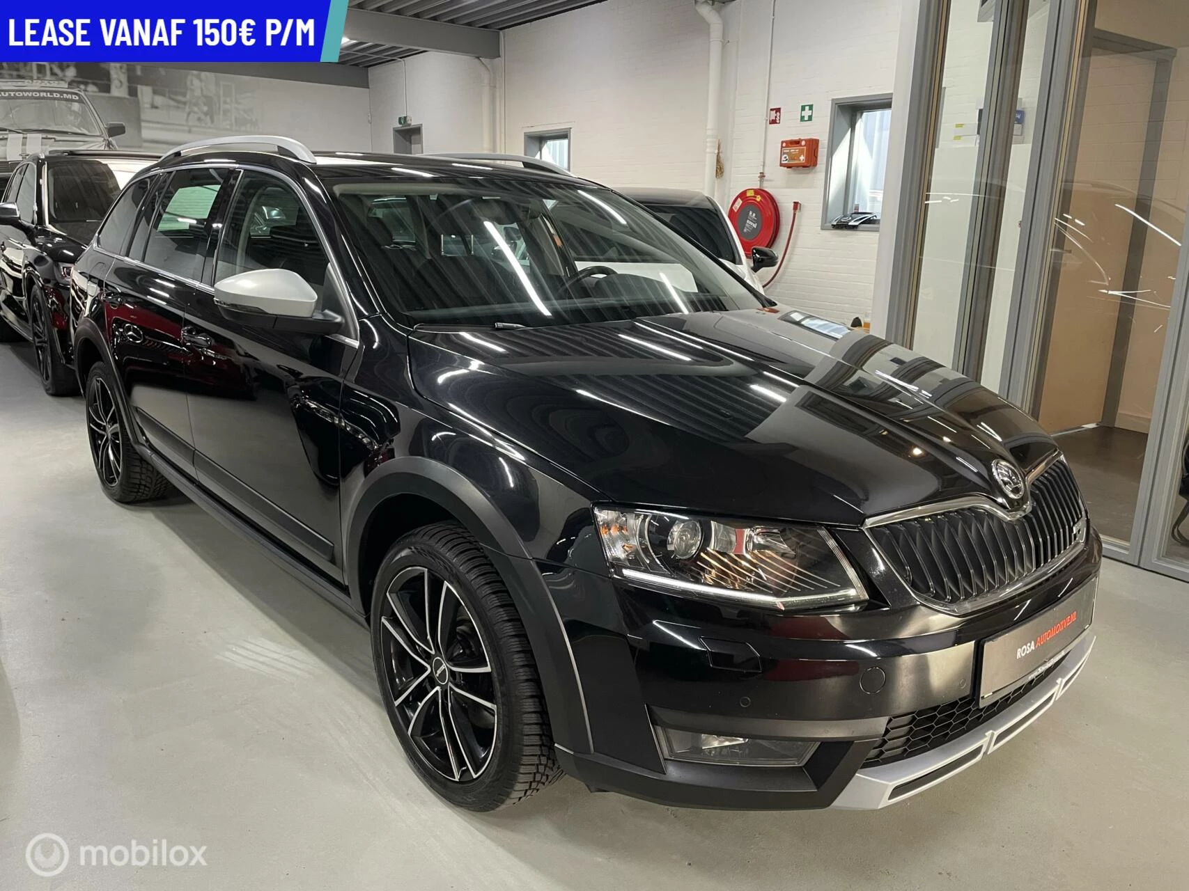 Hoofdafbeelding Škoda Octavia
