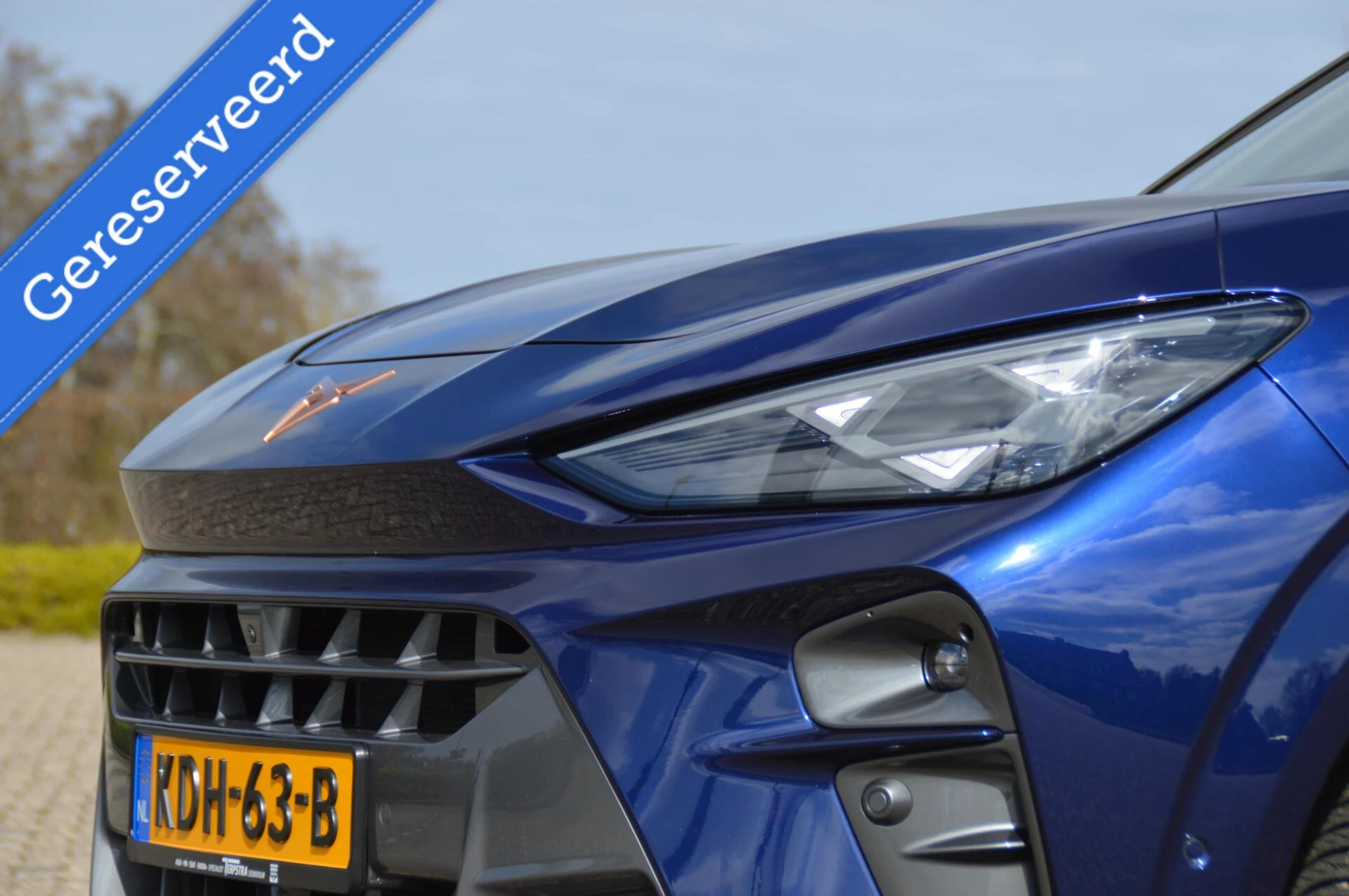 Hoofdafbeelding CUPRA Terramar