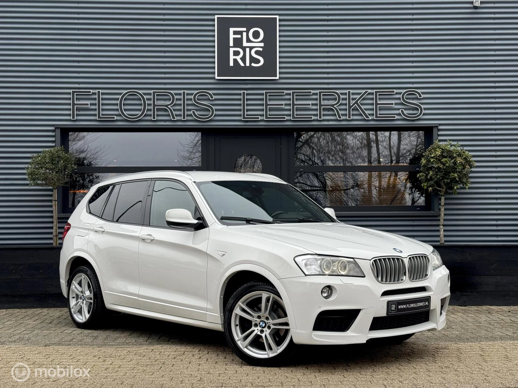 Hoofdafbeelding BMW X3