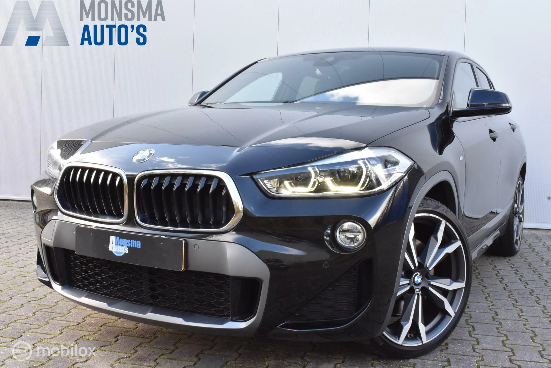 Hoofdafbeelding BMW X2