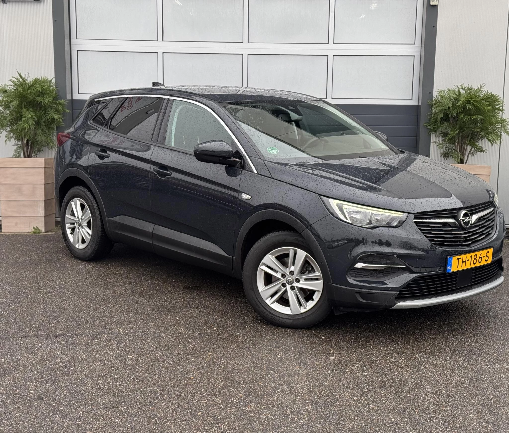 Hoofdafbeelding Opel Grandland X