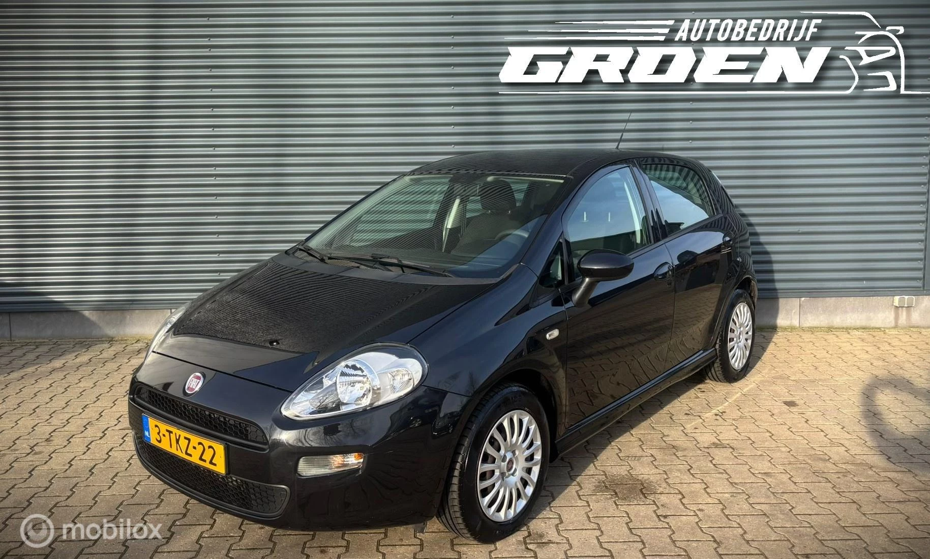 Hoofdafbeelding Fiat Punto
