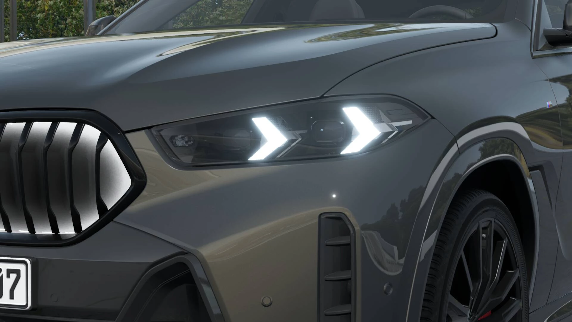 Hoofdafbeelding BMW X6