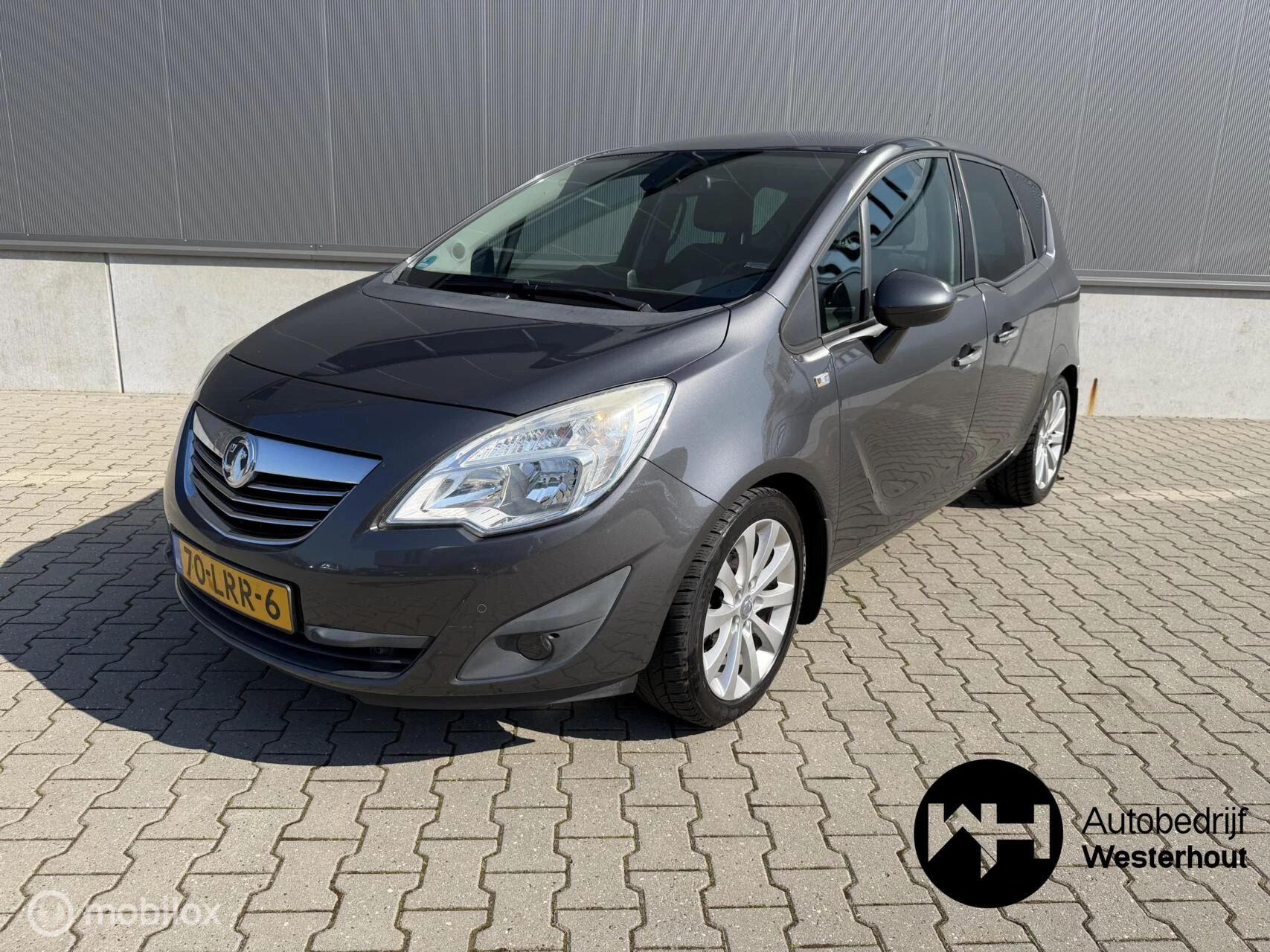 Hoofdafbeelding Opel Meriva