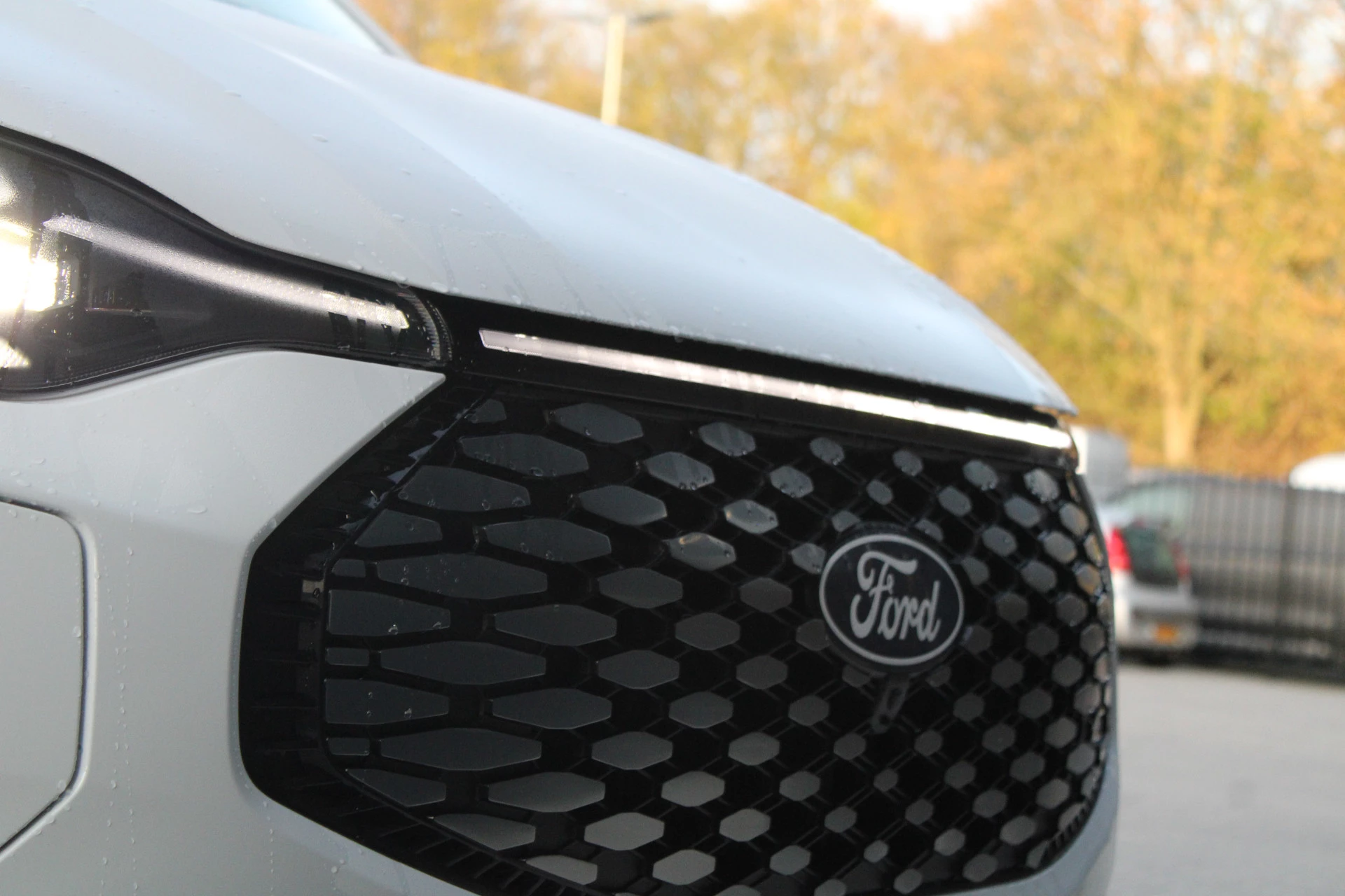 Hoofdafbeelding Ford E-Transit Custom