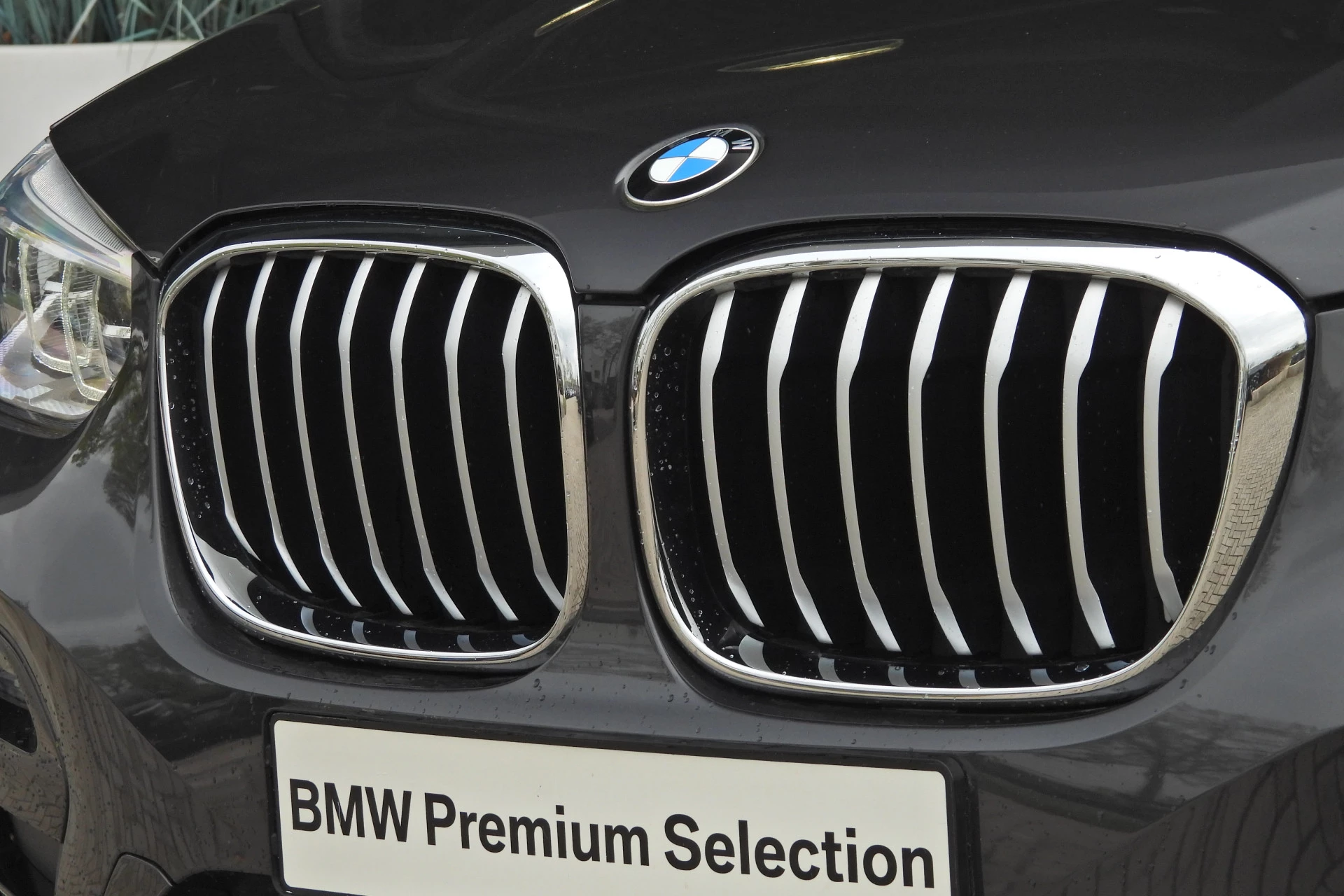 Hoofdafbeelding BMW X4