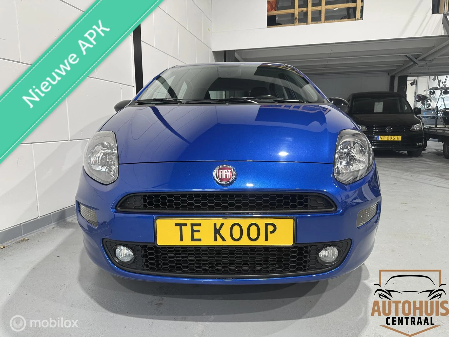 Hoofdafbeelding Fiat Punto