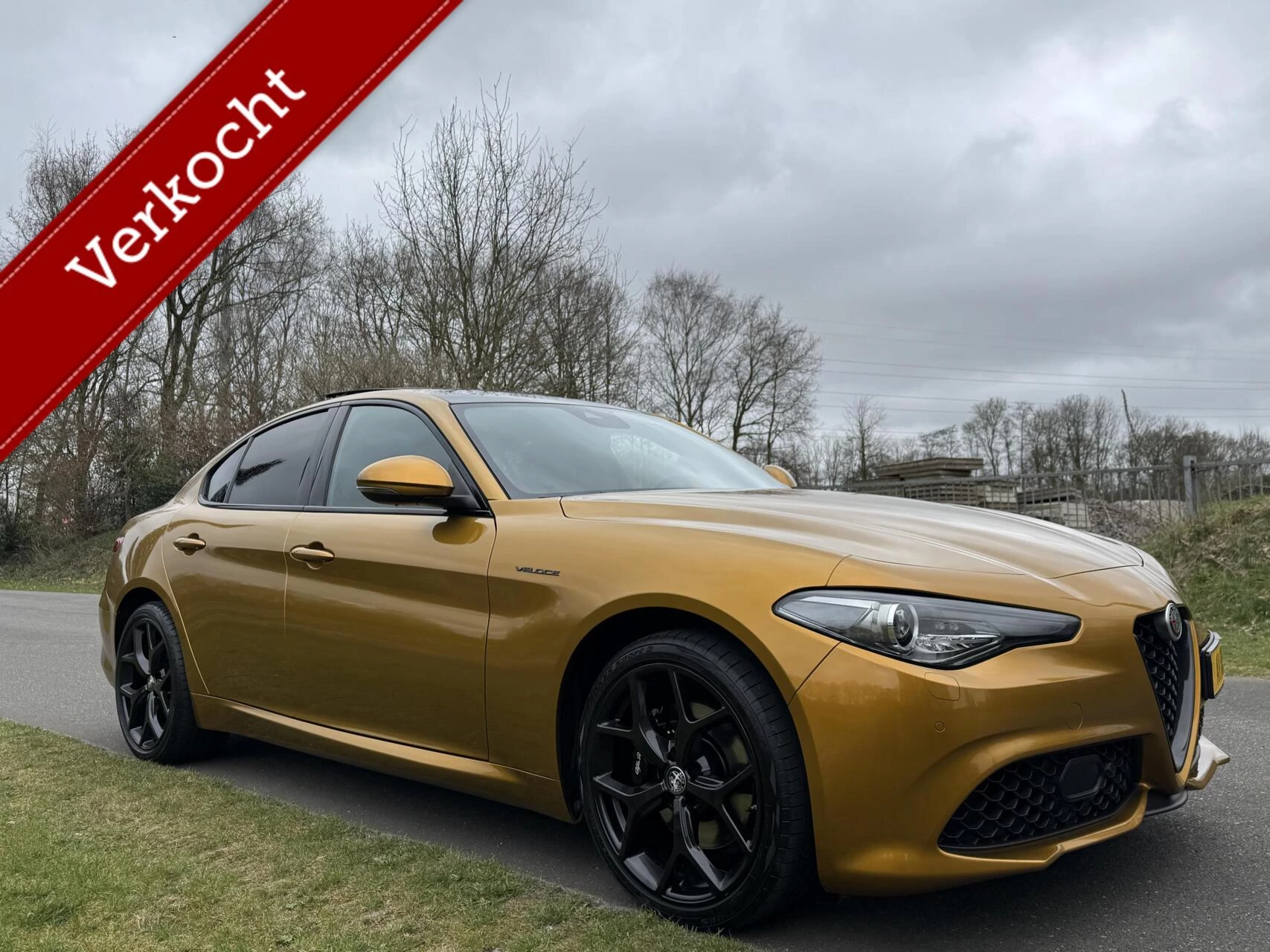 Hoofdafbeelding Alfa Romeo Giulia