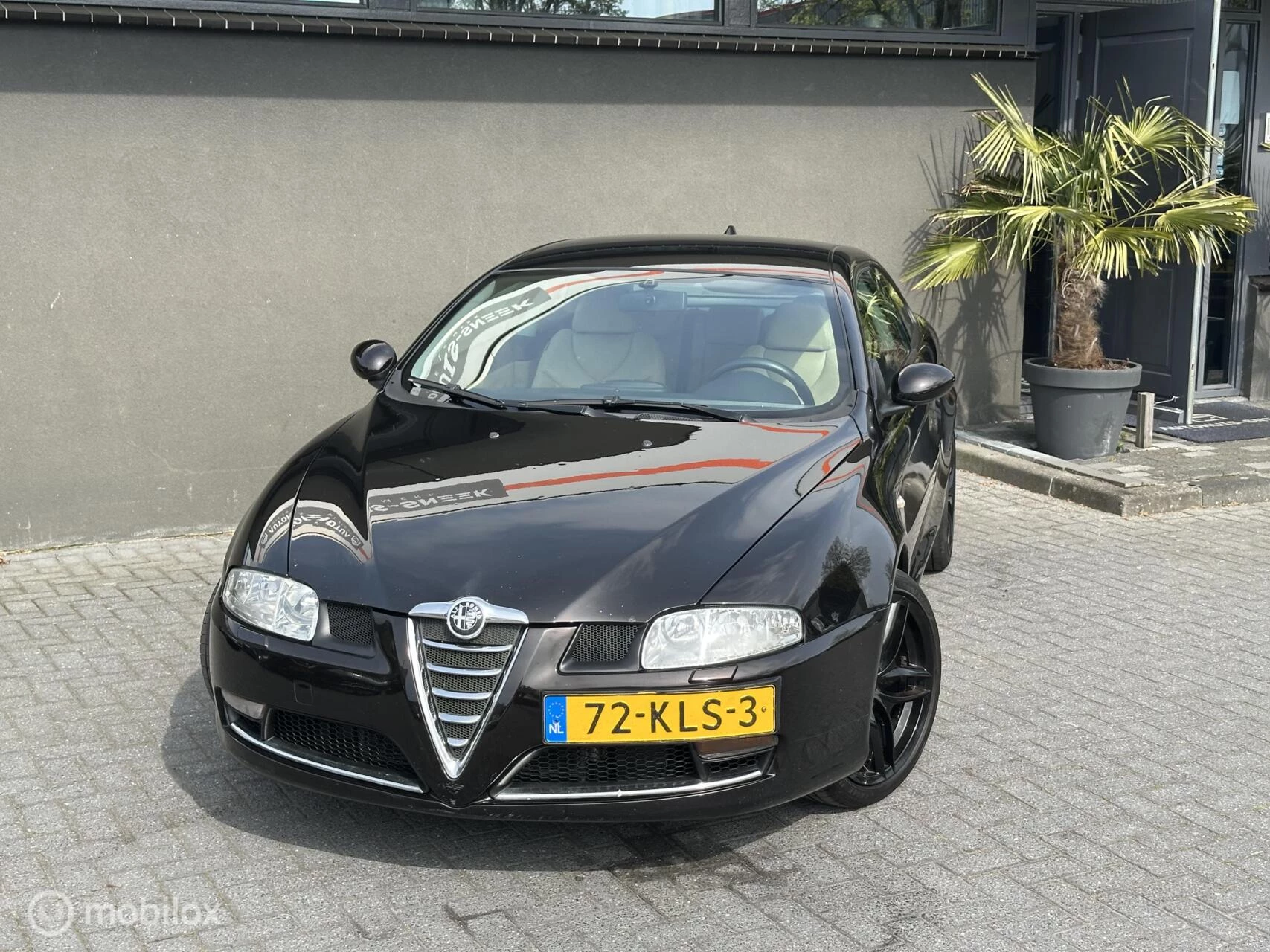 Hoofdafbeelding Alfa Romeo GT